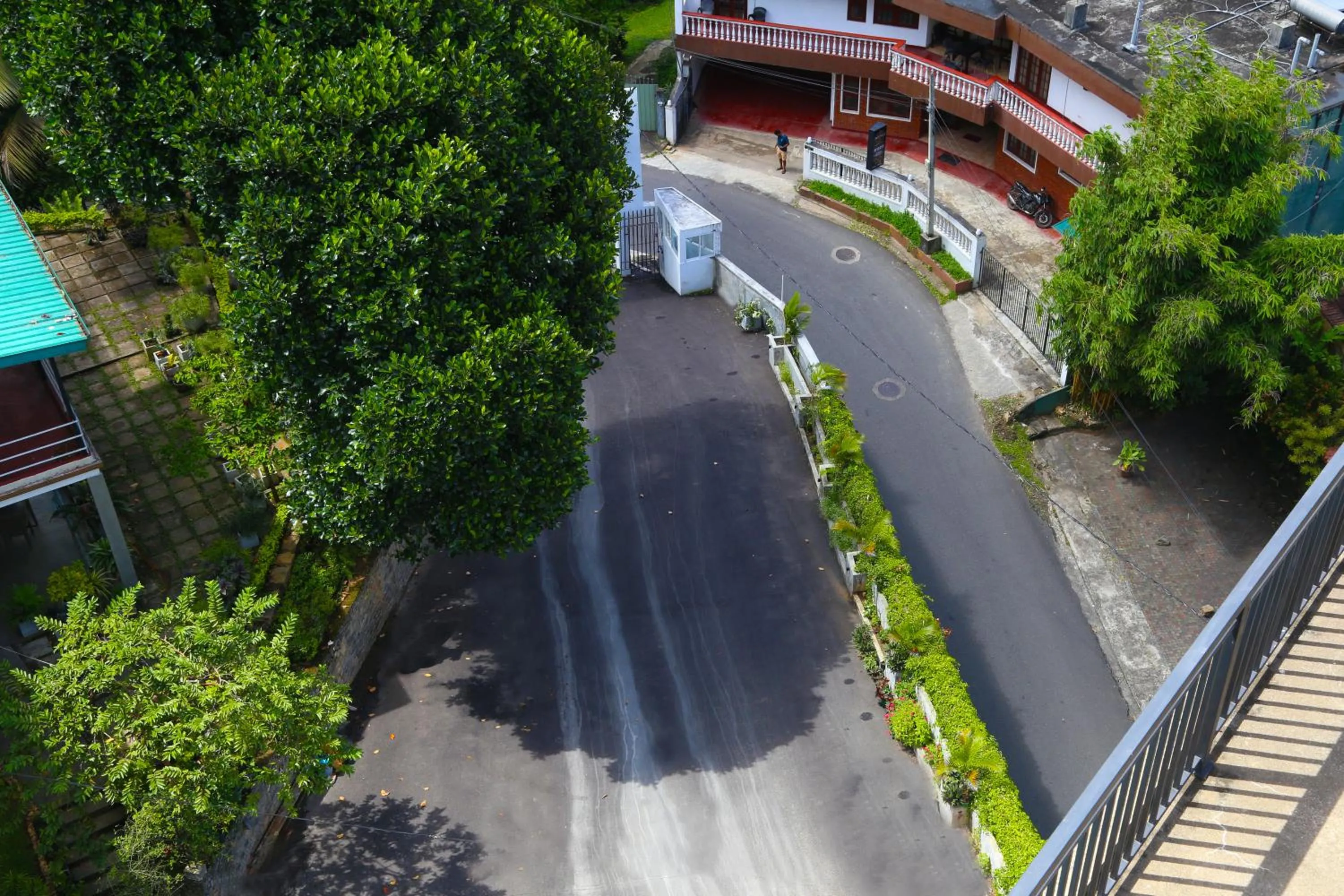 The Dorwin Heights
