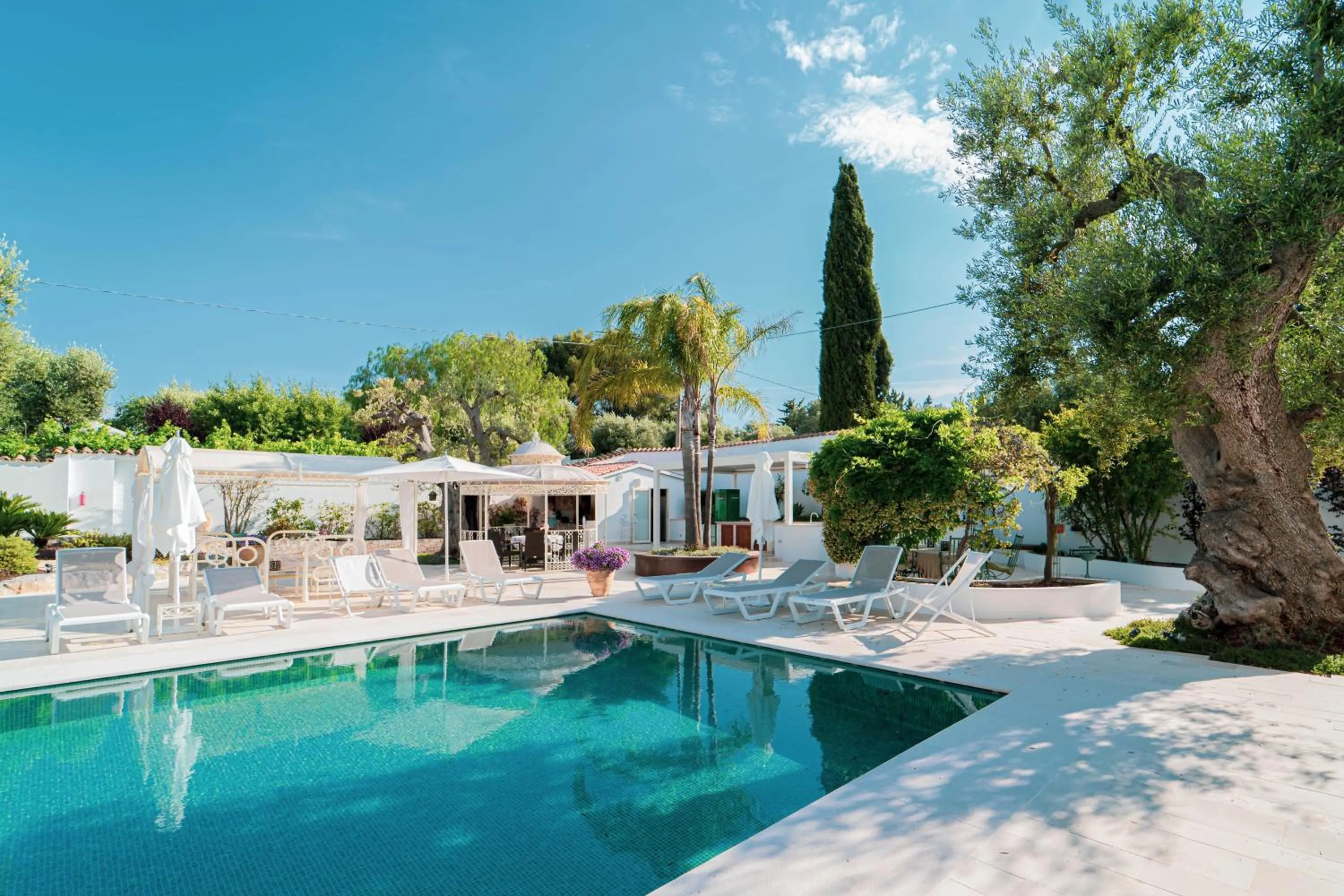 Swimming pool in B&B Antico Ulivo