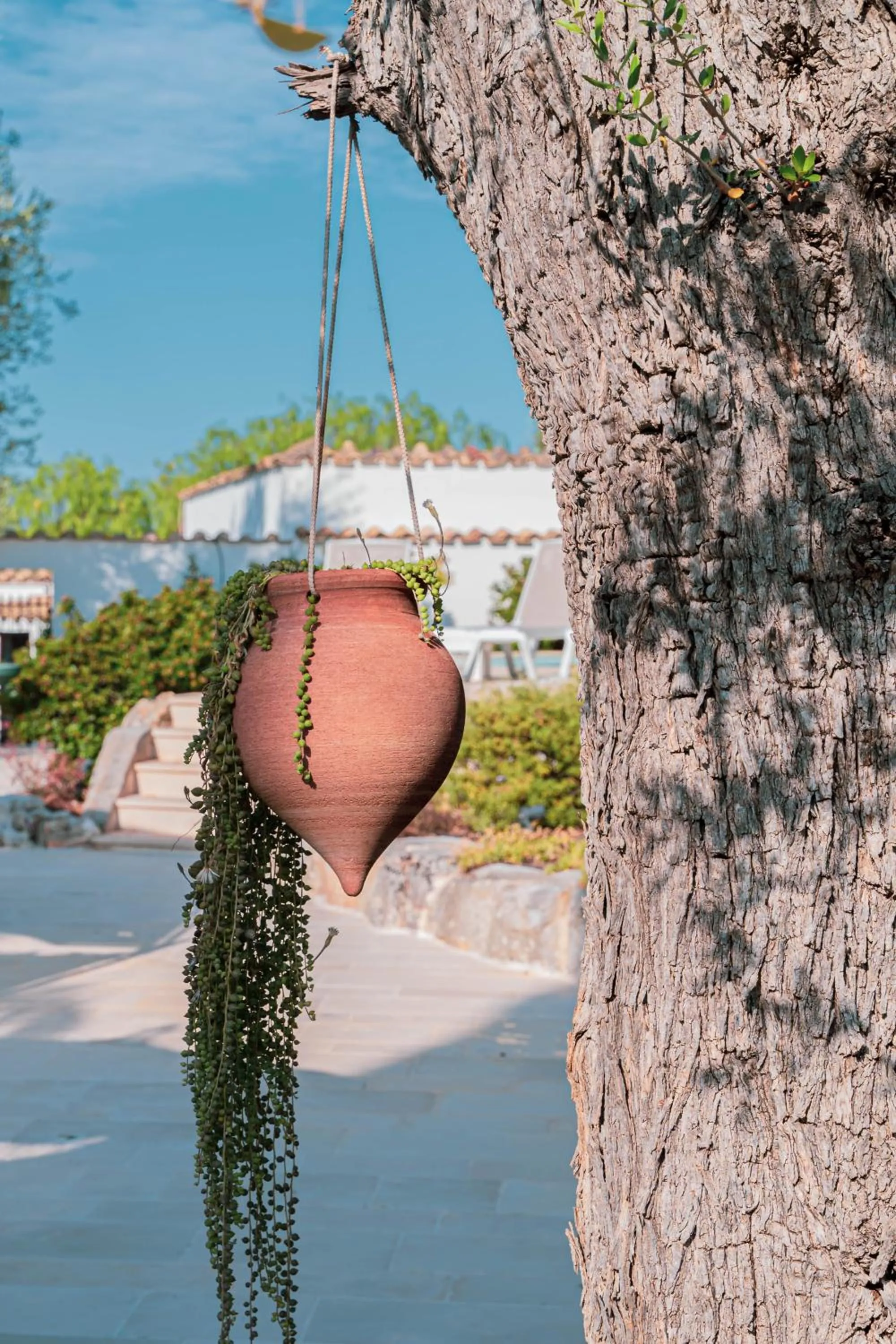 Property building in B&B Antico Ulivo