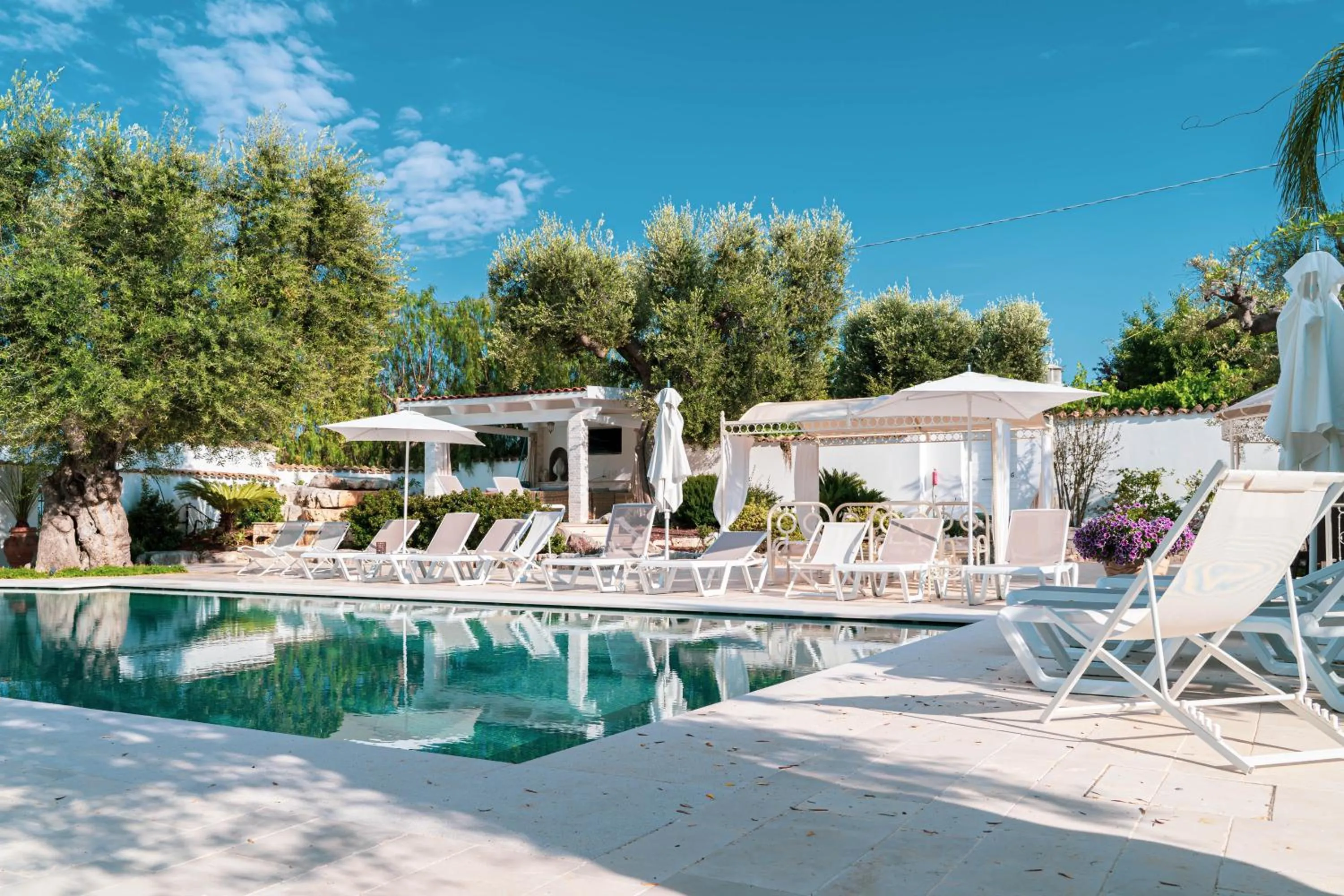 Swimming pool in B&B Antico Ulivo