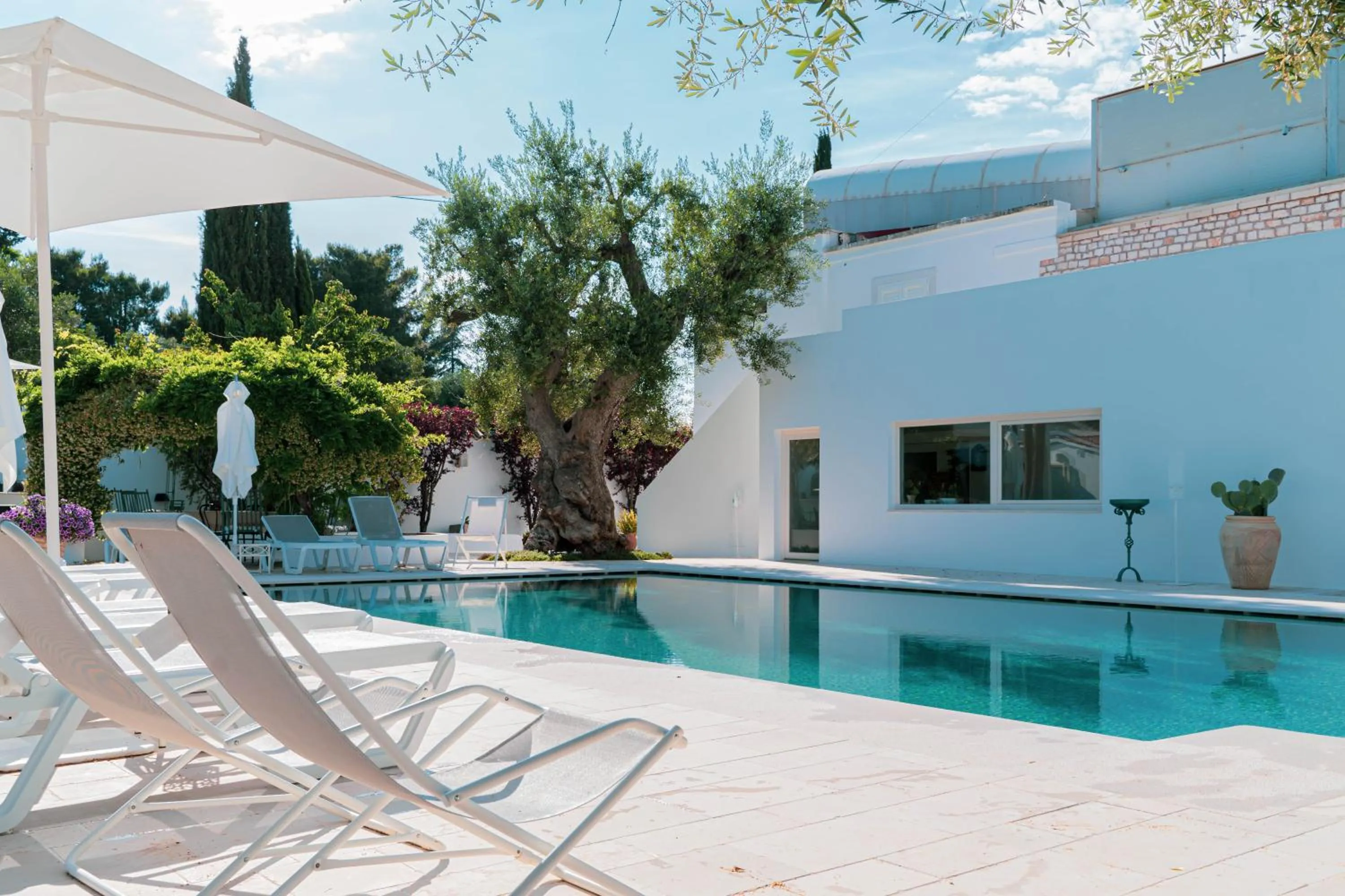 Swimming pool in B&B Antico Ulivo