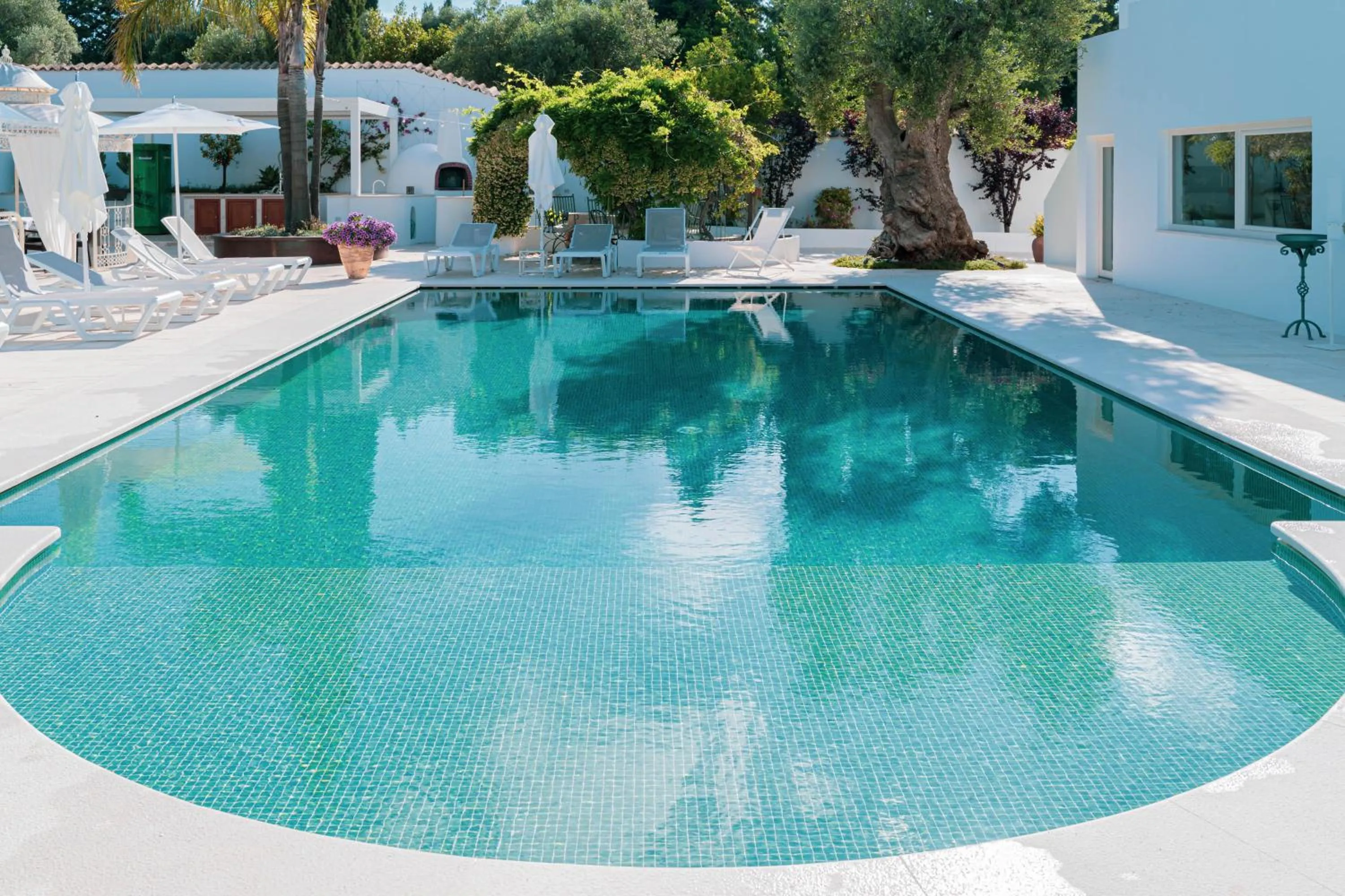 Swimming pool in B&B Antico Ulivo