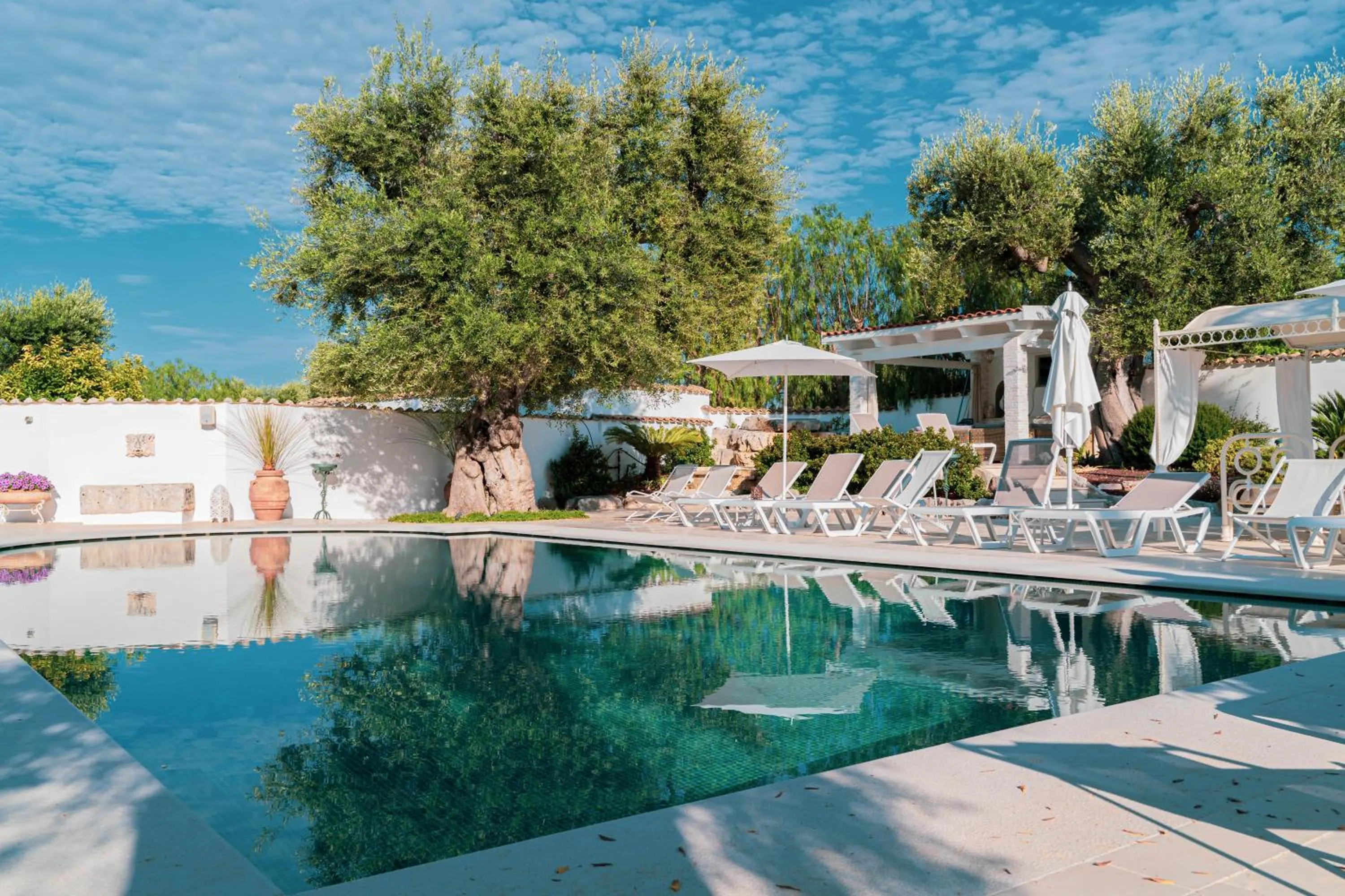 Swimming pool in B&B Antico Ulivo