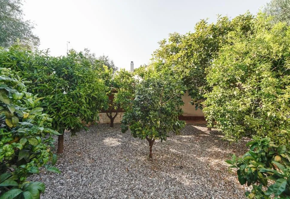 Garden in B&B Antico Ulivo