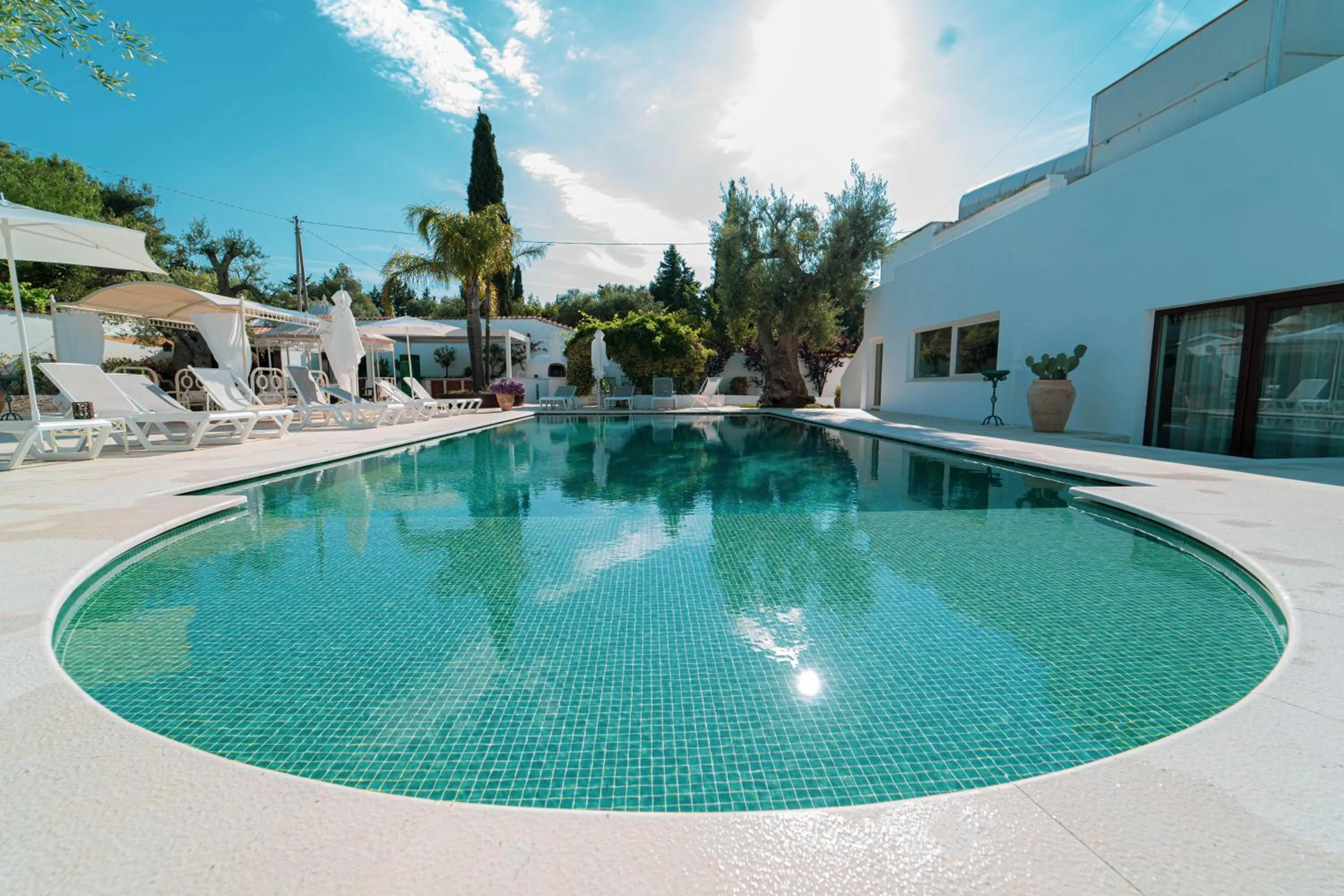 Swimming pool in B&B Antico Ulivo