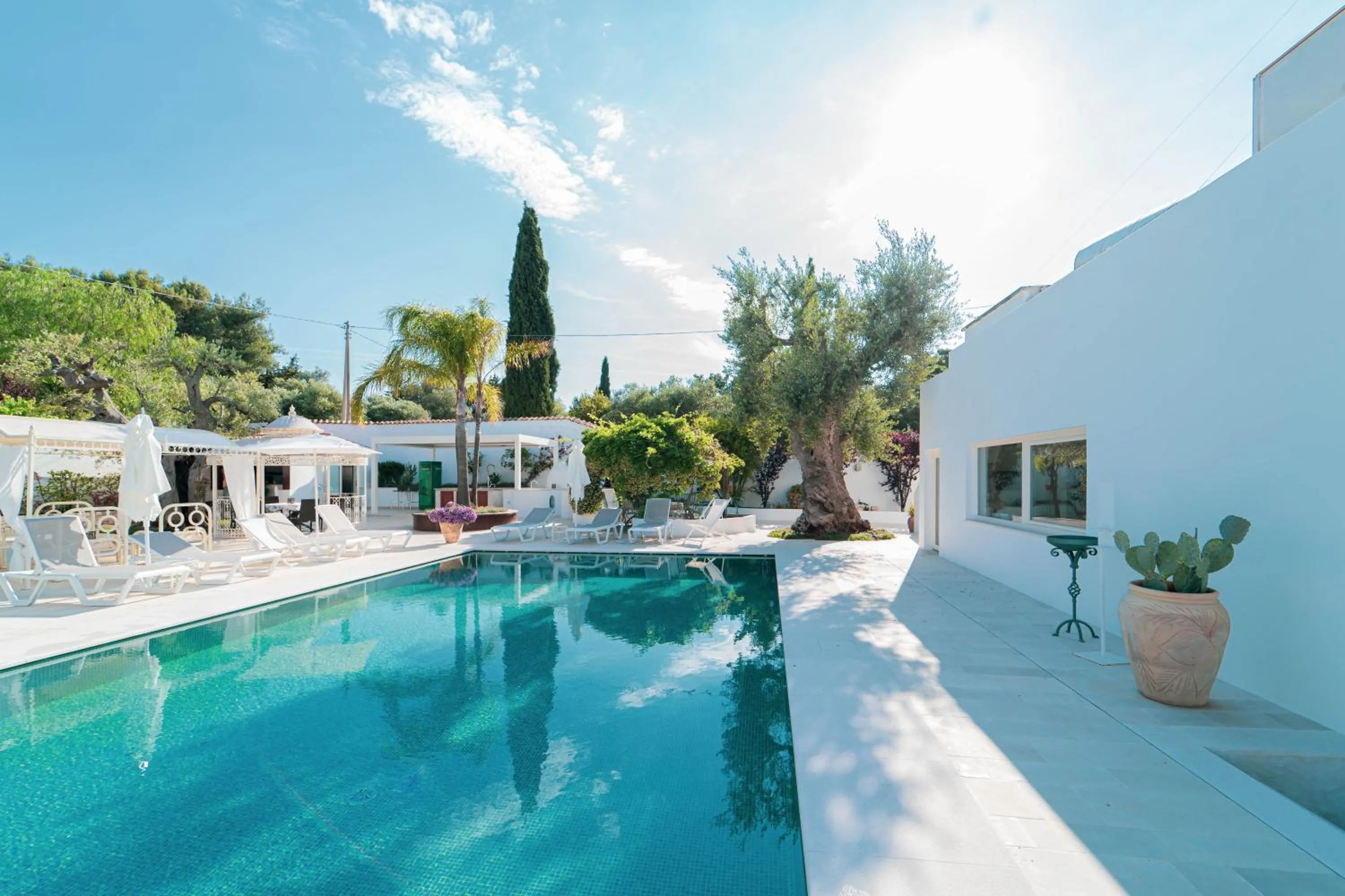 Swimming pool in B&B Antico Ulivo