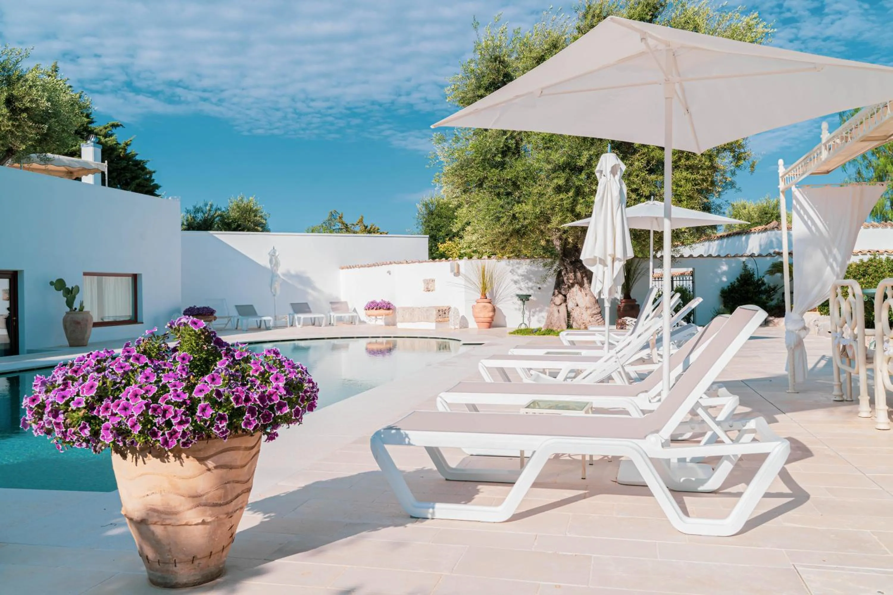 Swimming pool in B&B Antico Ulivo
