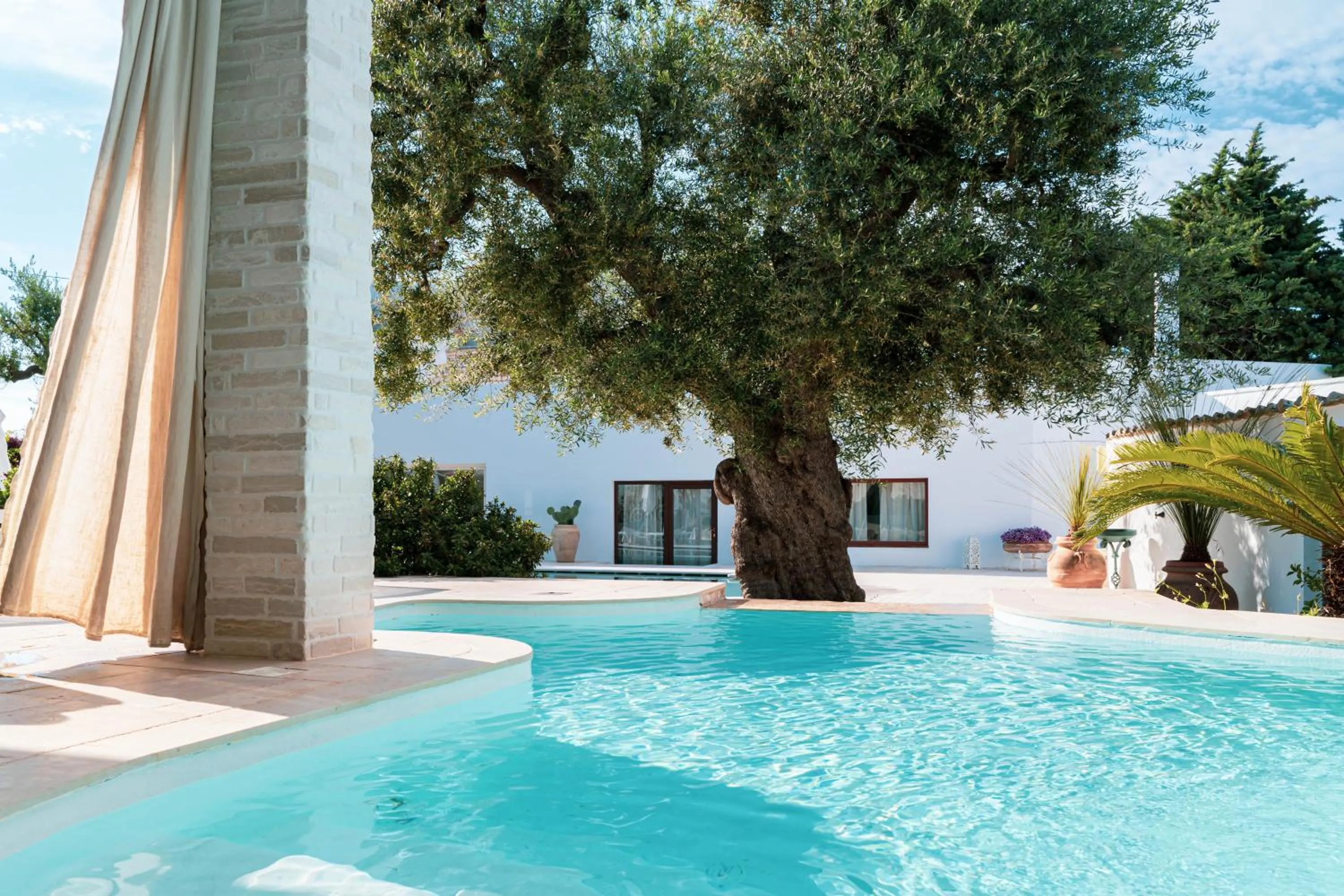 Swimming pool in B&B Antico Ulivo
