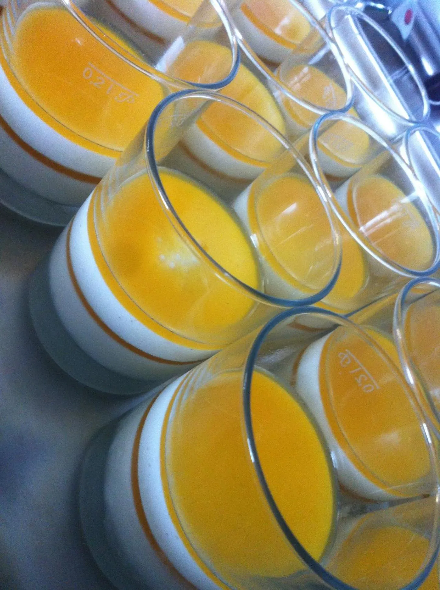 Dinner in Landgasthof Zahn