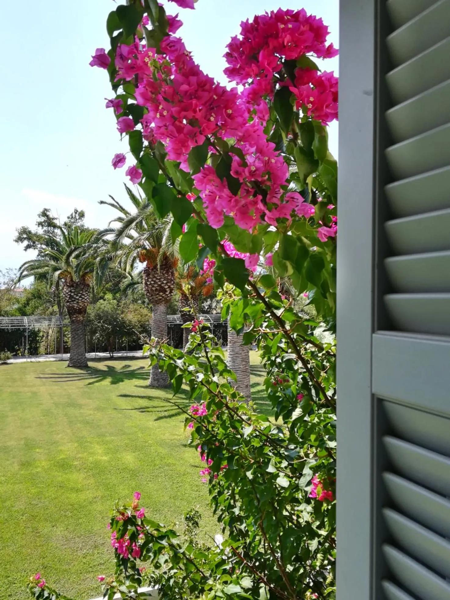 Garden view in Amalia Hotel Nafplio