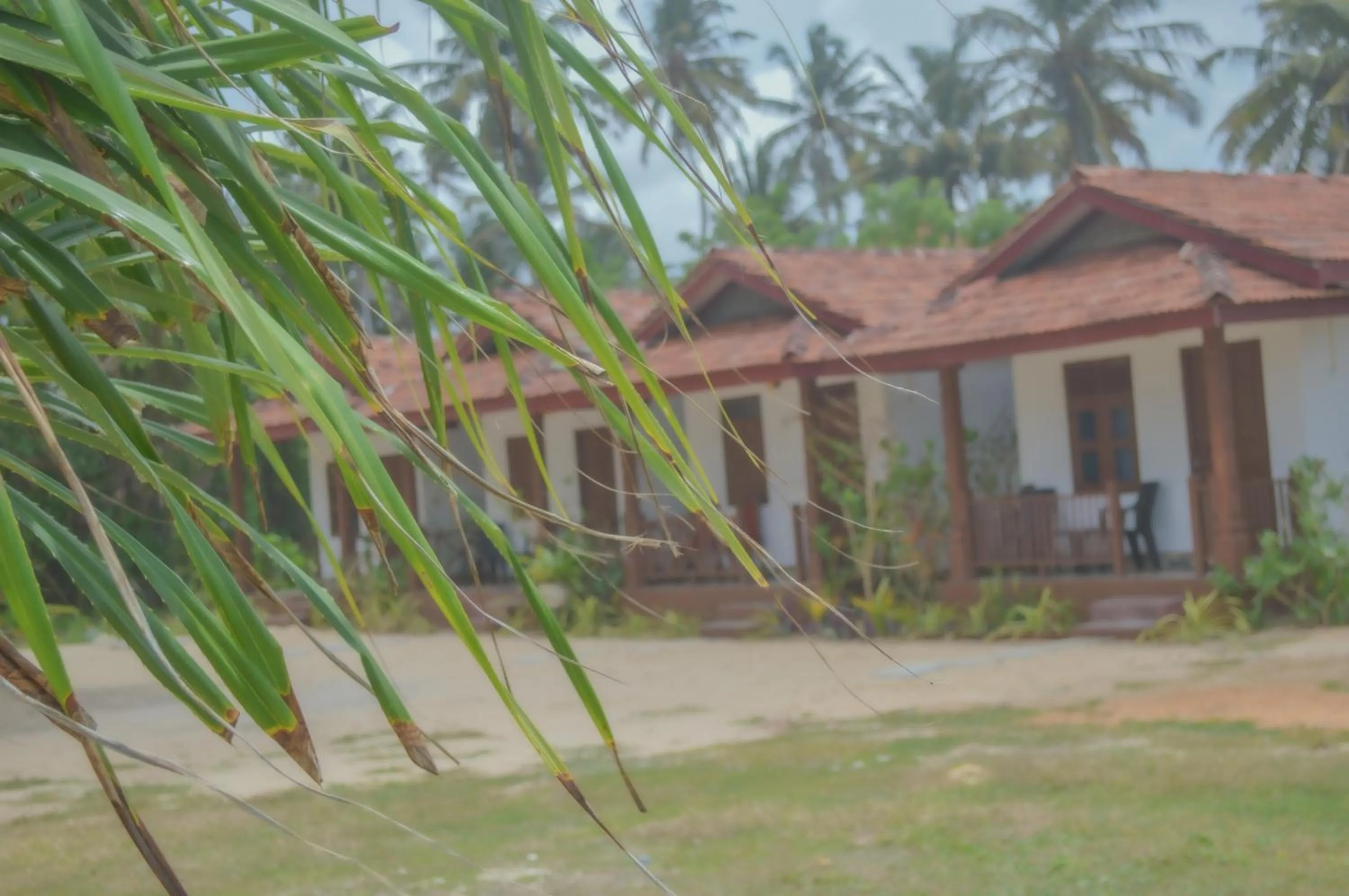 Garden in Blue Water Paradise Akurala