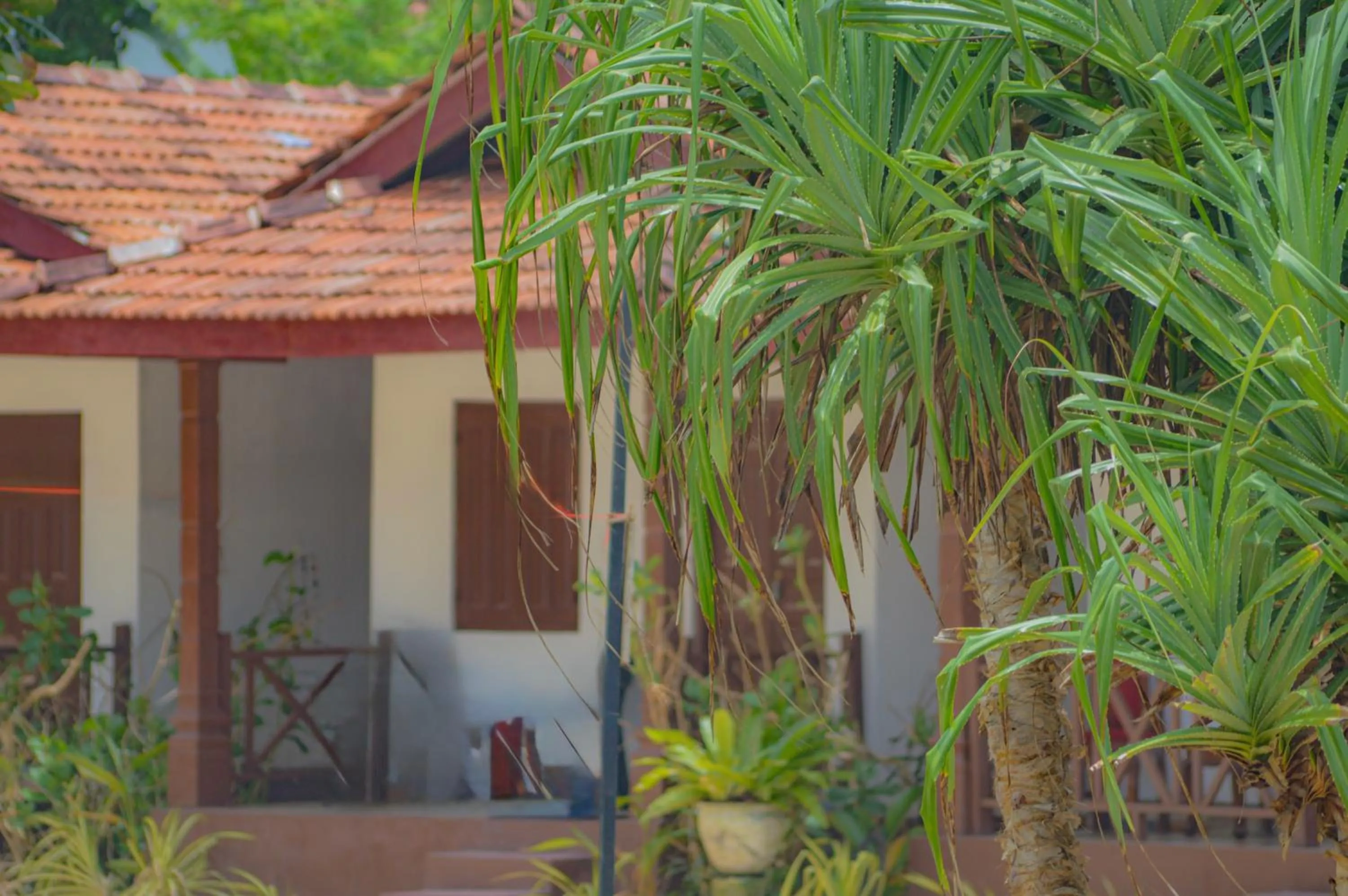 Property building in Blue Water Paradise Akurala