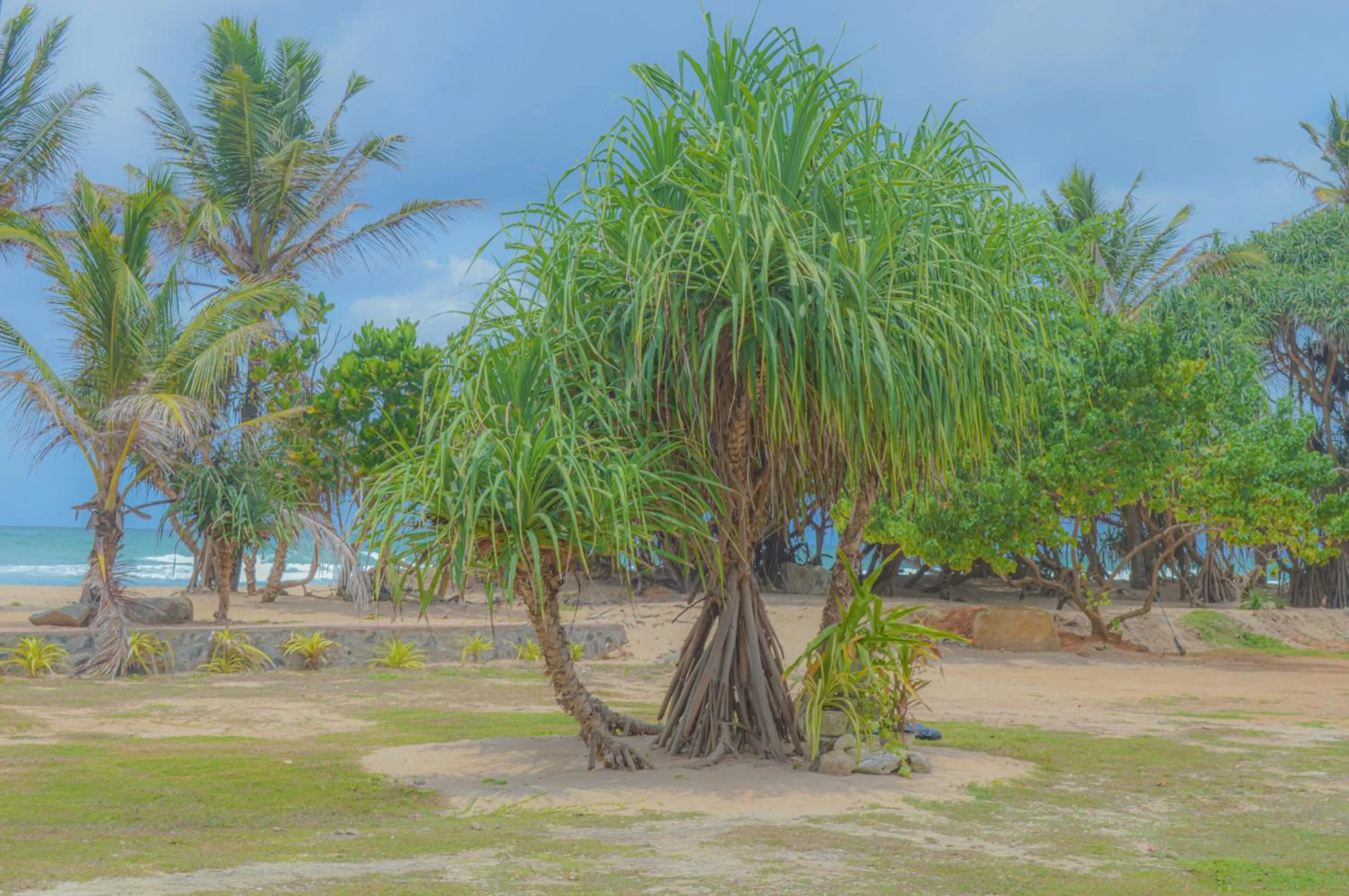 Natural landscape in Blue Water Paradise Akurala