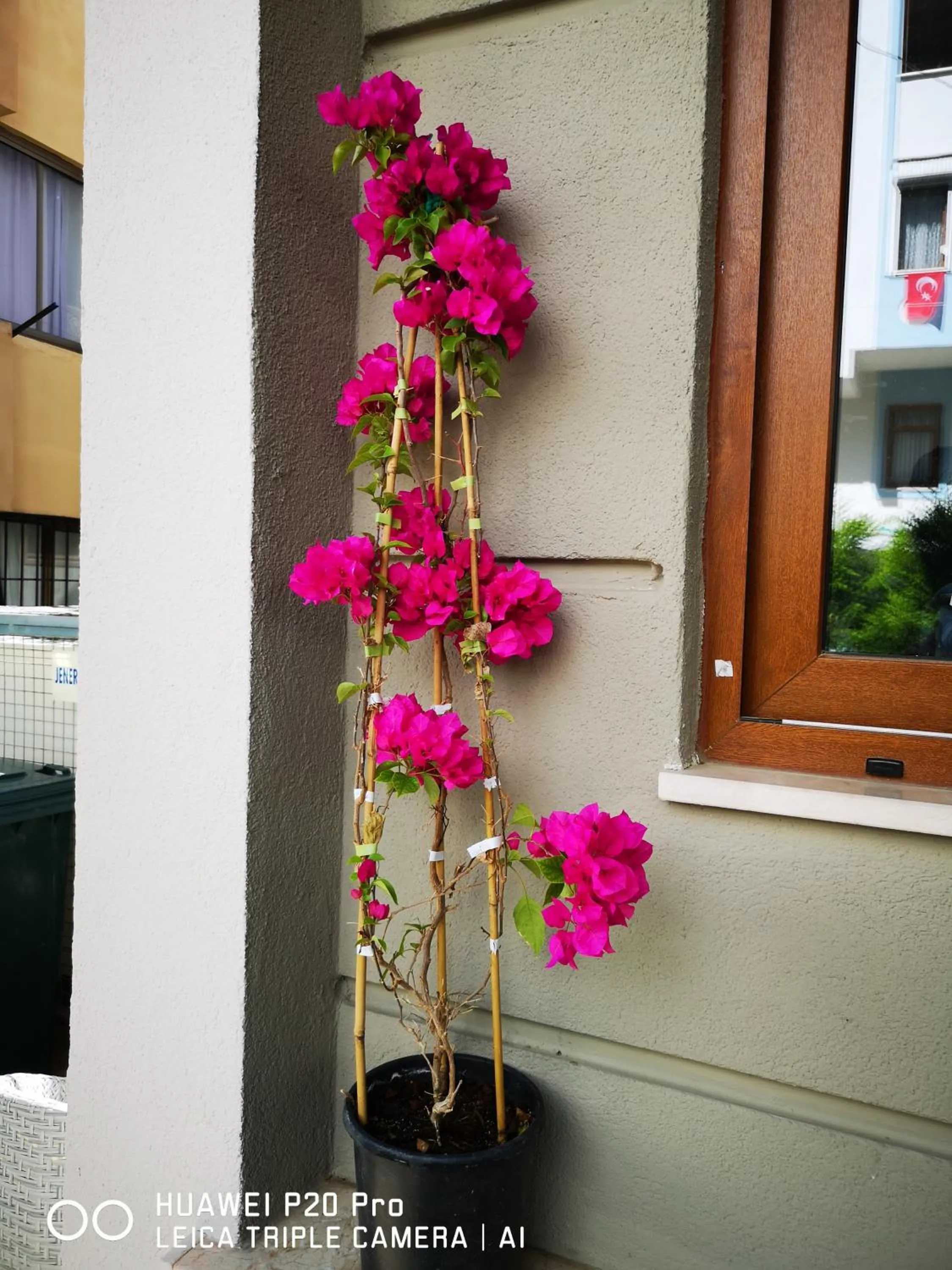 Patio in City Hotel Marmaris