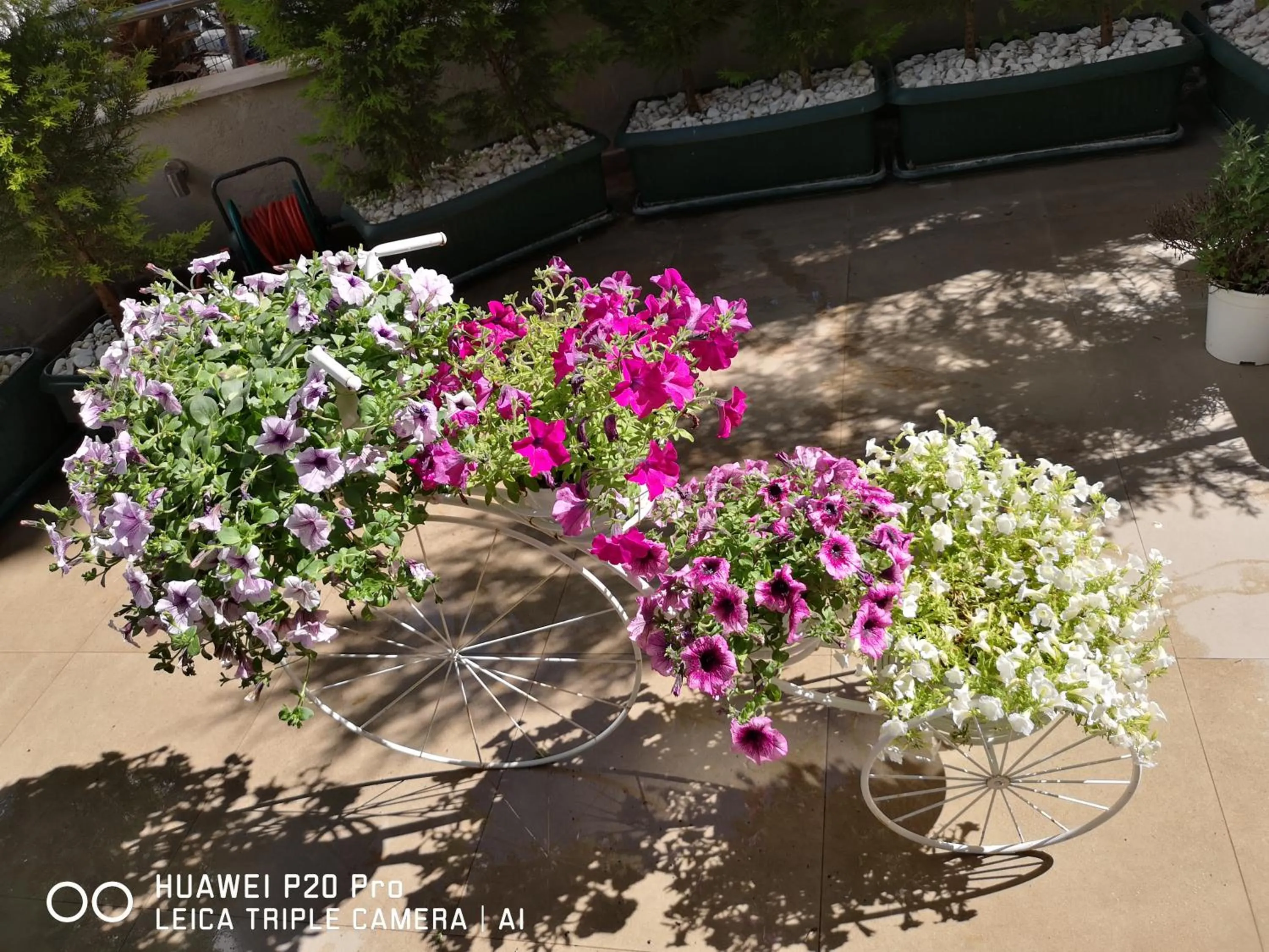 Garden in City Hotel Marmaris