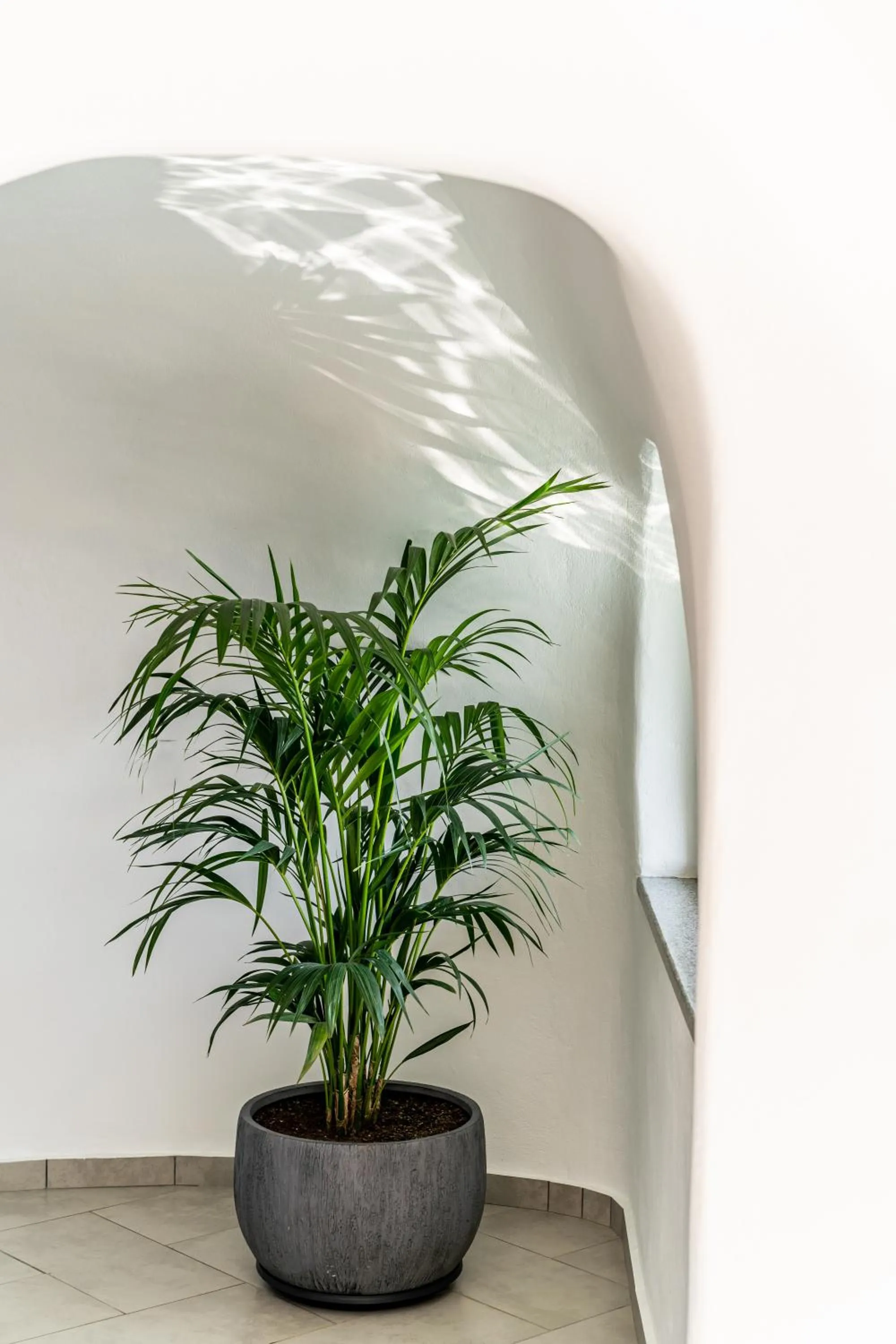 Decorative detail in Ventus Paradiso Villa