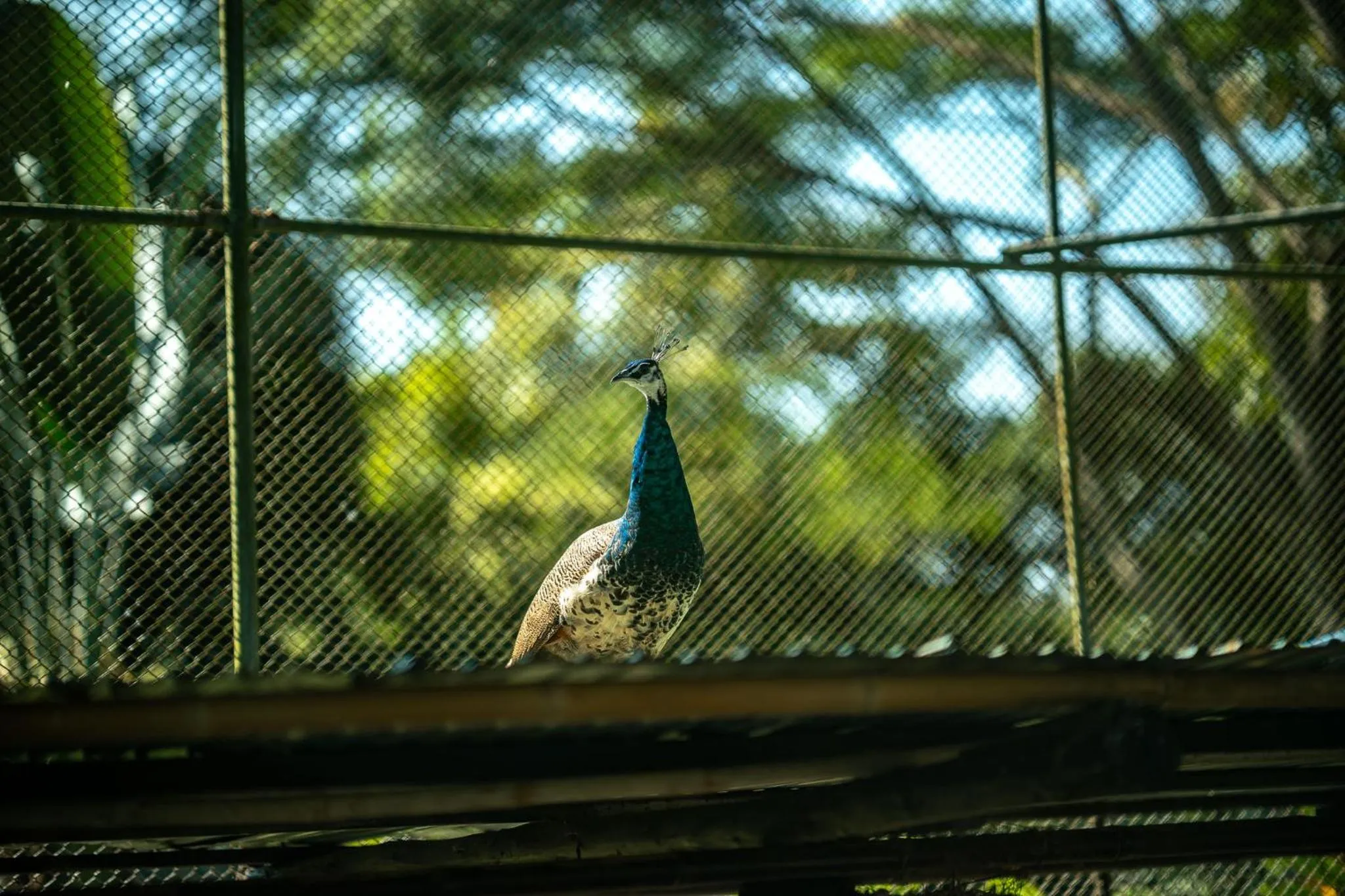 Mon Kiang-Dao Resort