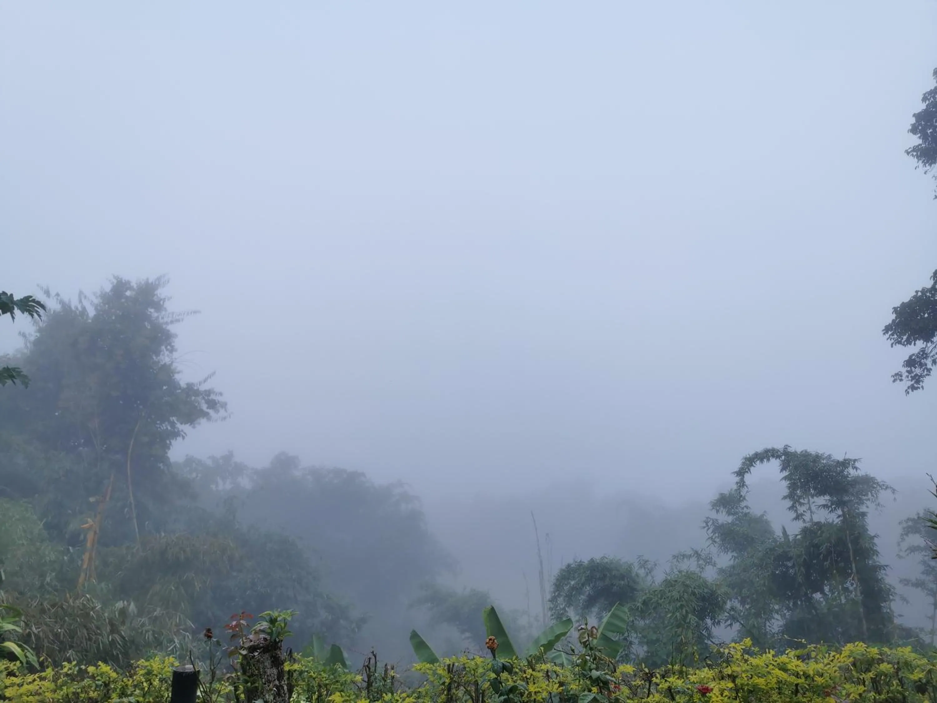 Mon Kiang-Dao Resort