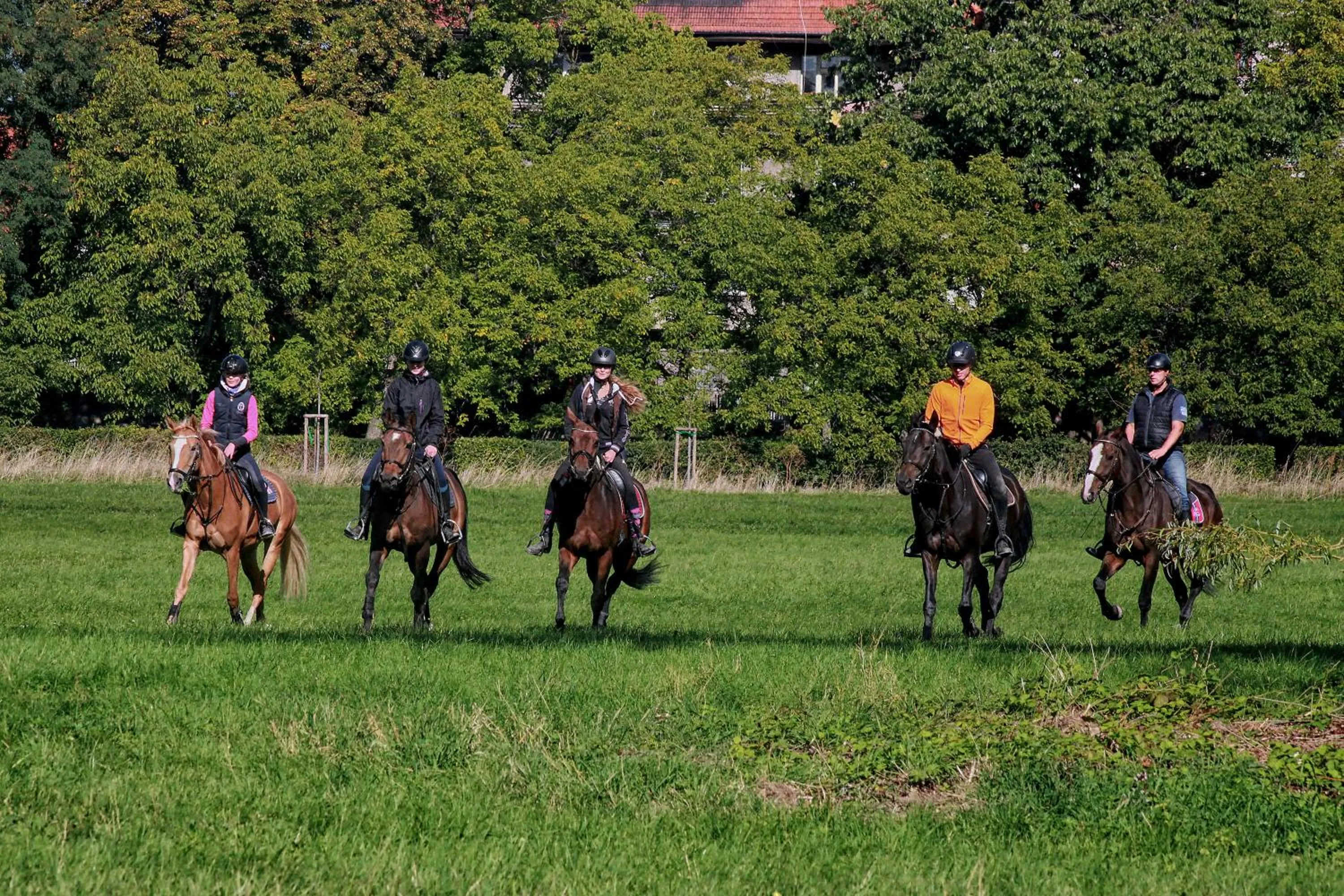 Horse-riding in Penzion Dobré Časy