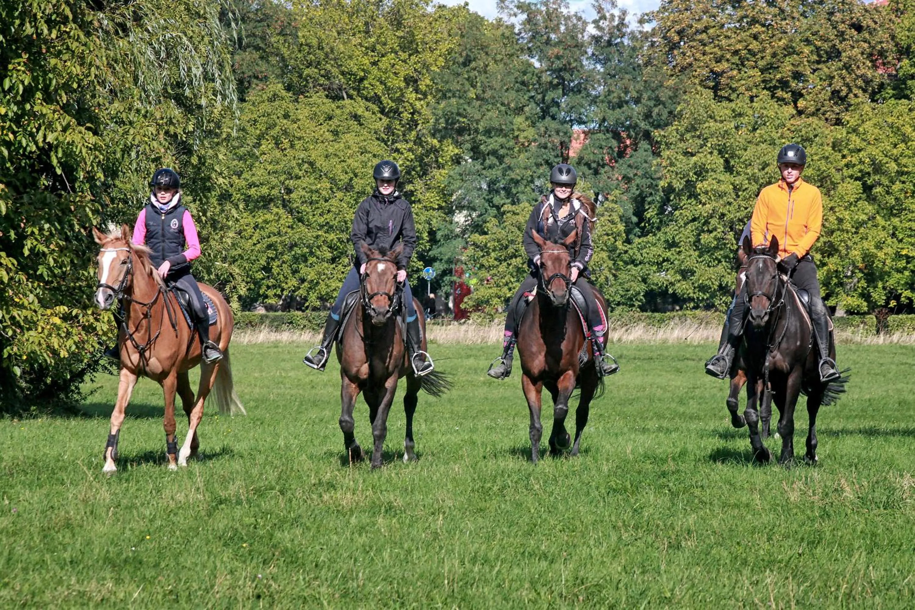 Horse-riding in Penzion Dobré Časy