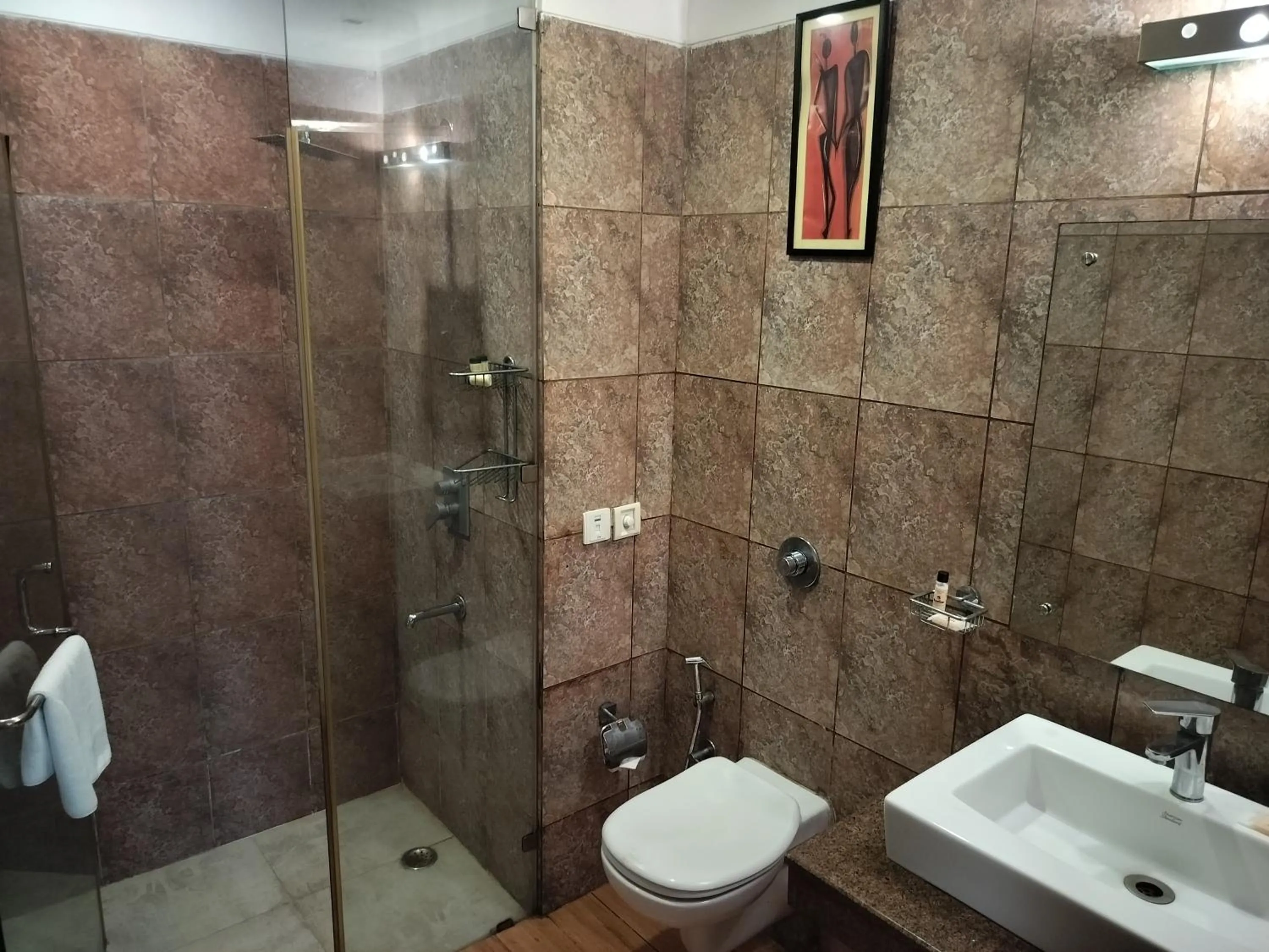 Toilet in Stellar Resorts By Bel-La Monde, Rajokri, Near IGI Airport, Delhi