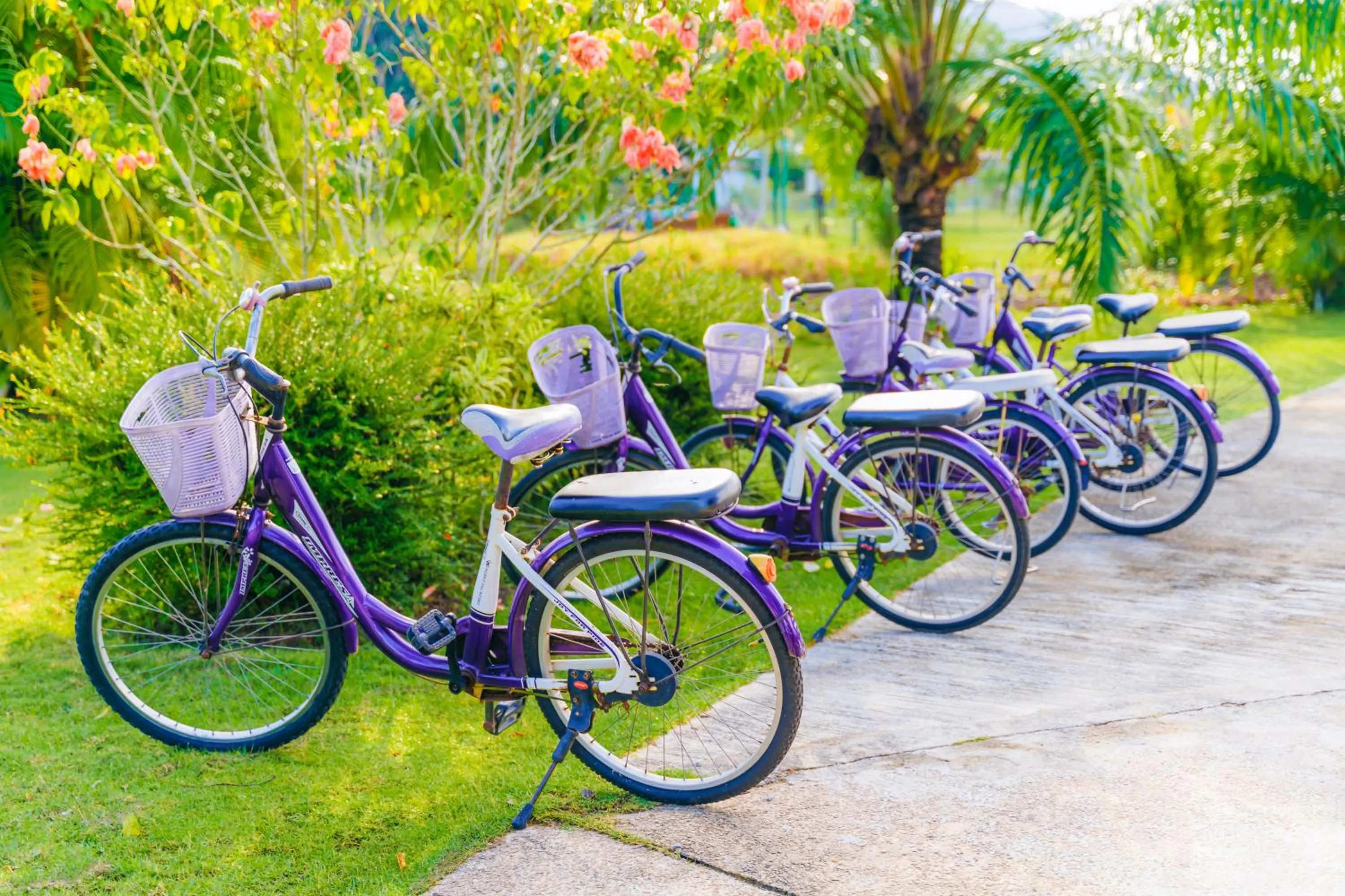 Cycling in de Bintan Villa