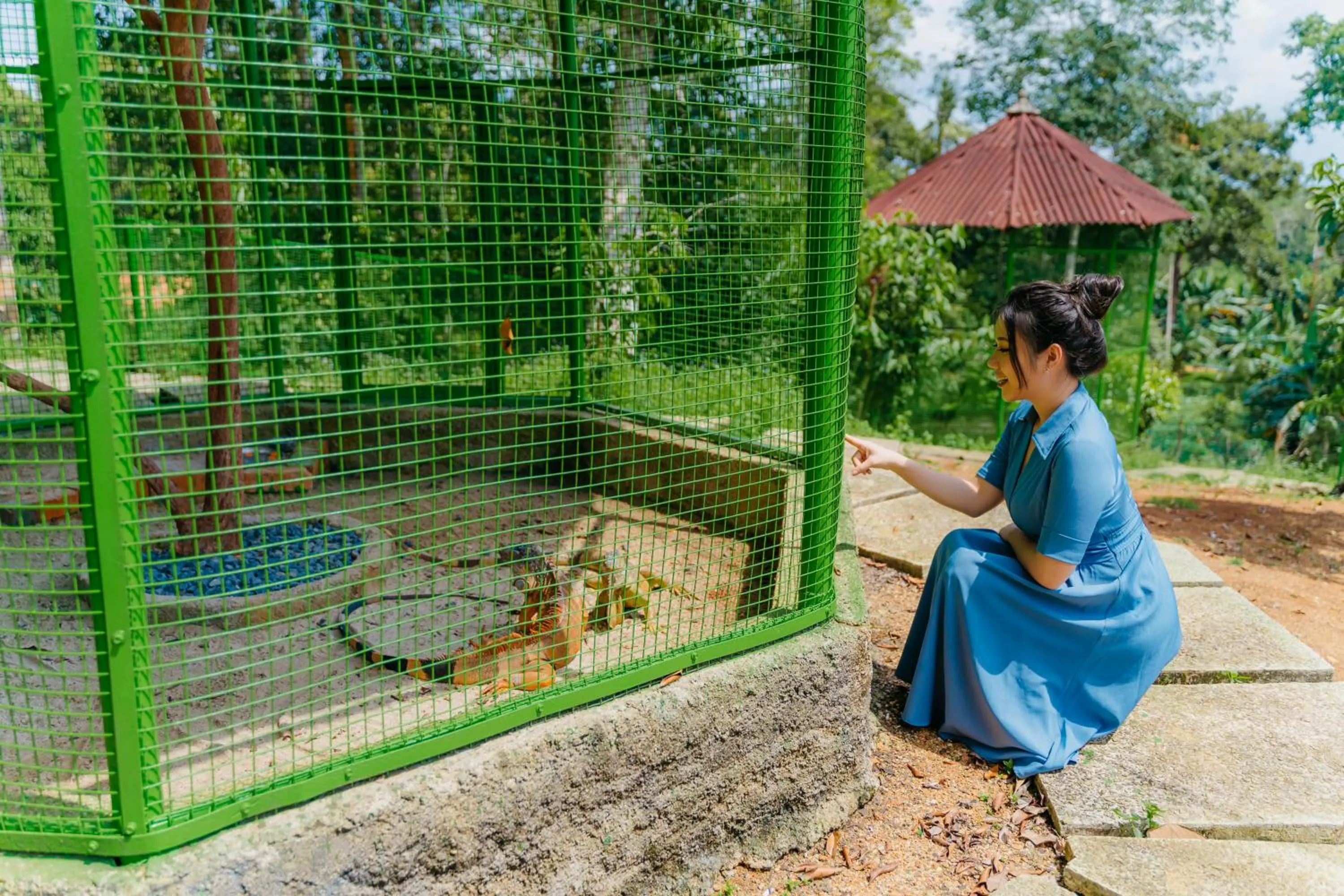 Garden view in de Bintan Villa