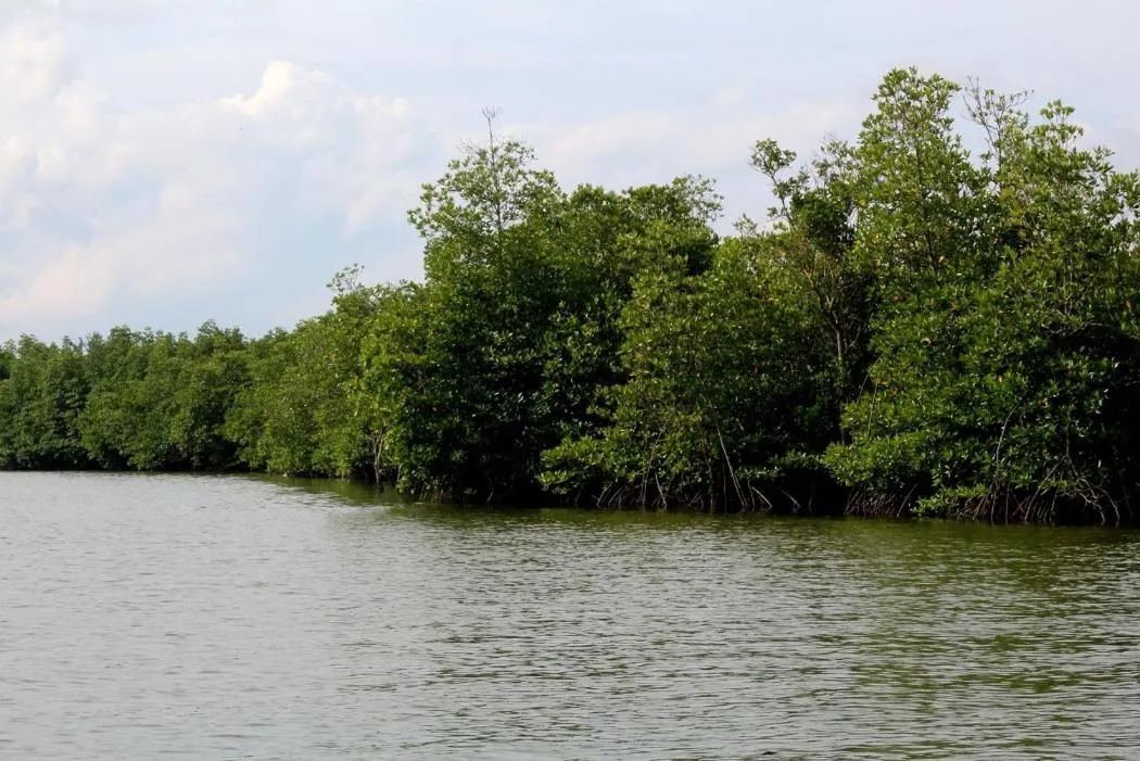 Natural landscape in de Bintan Villa