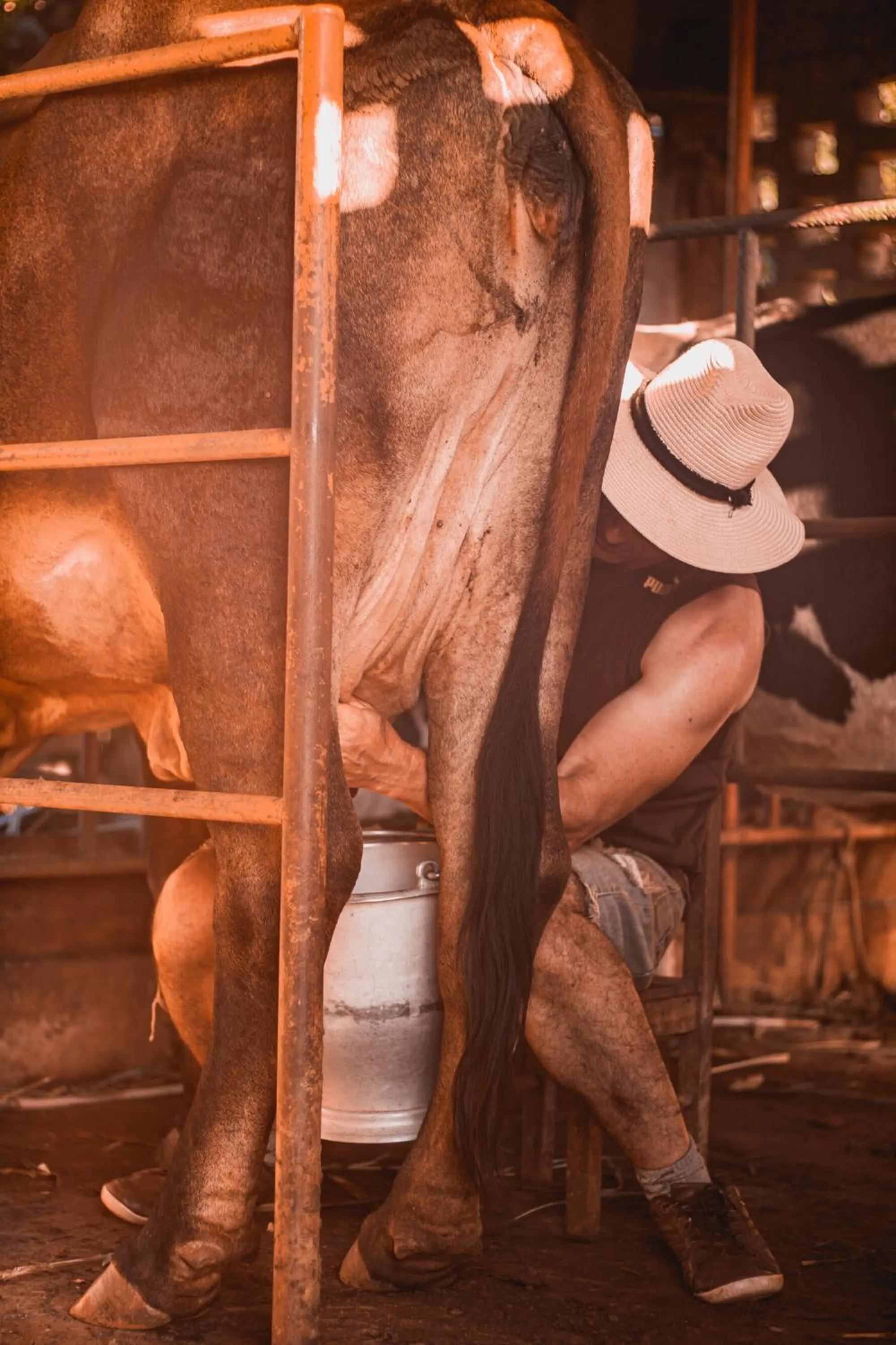 Activities in Granja La Lechuza Ecolodge