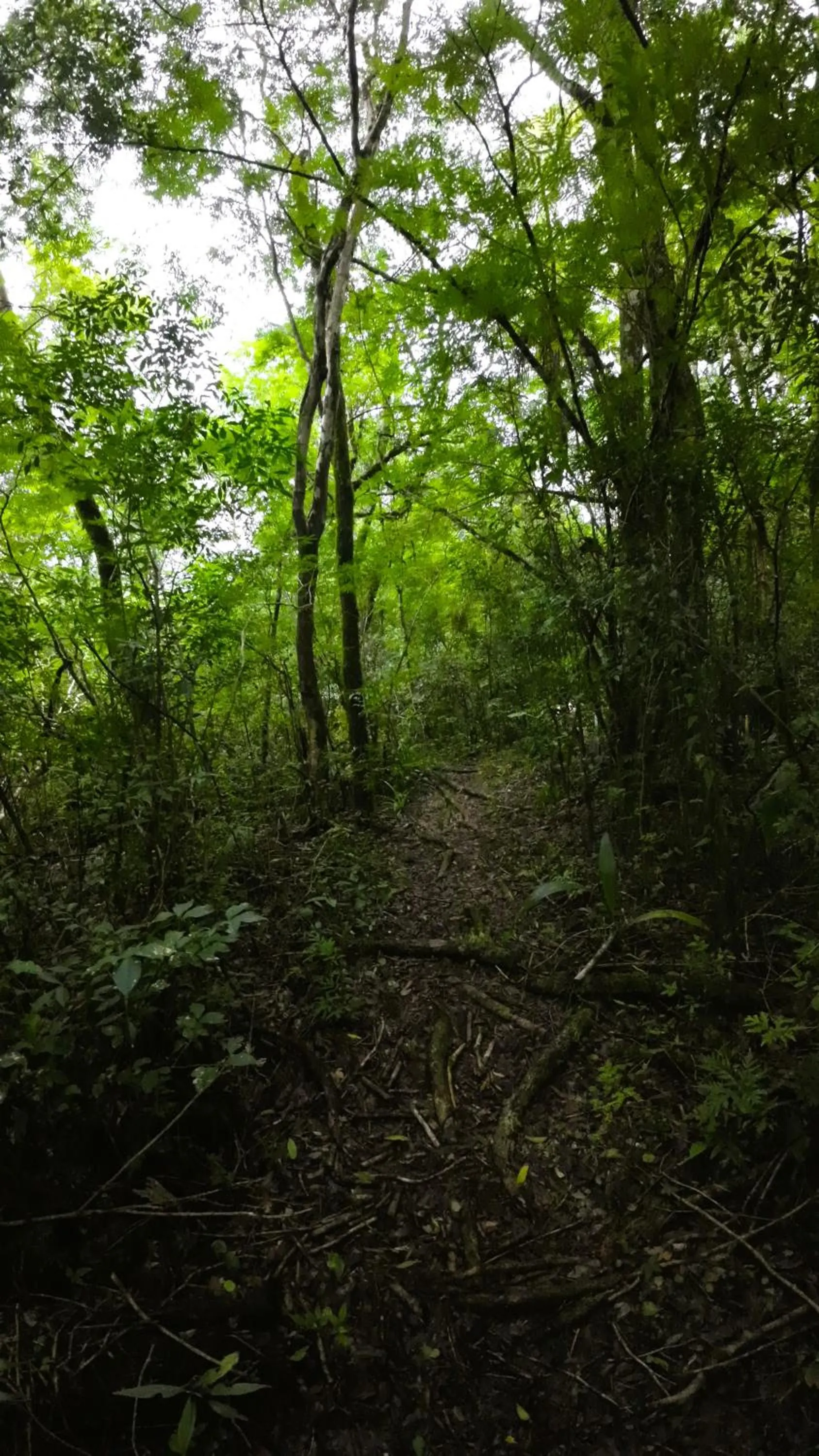 Natural landscape in Granja La Lechuza Ecolodge