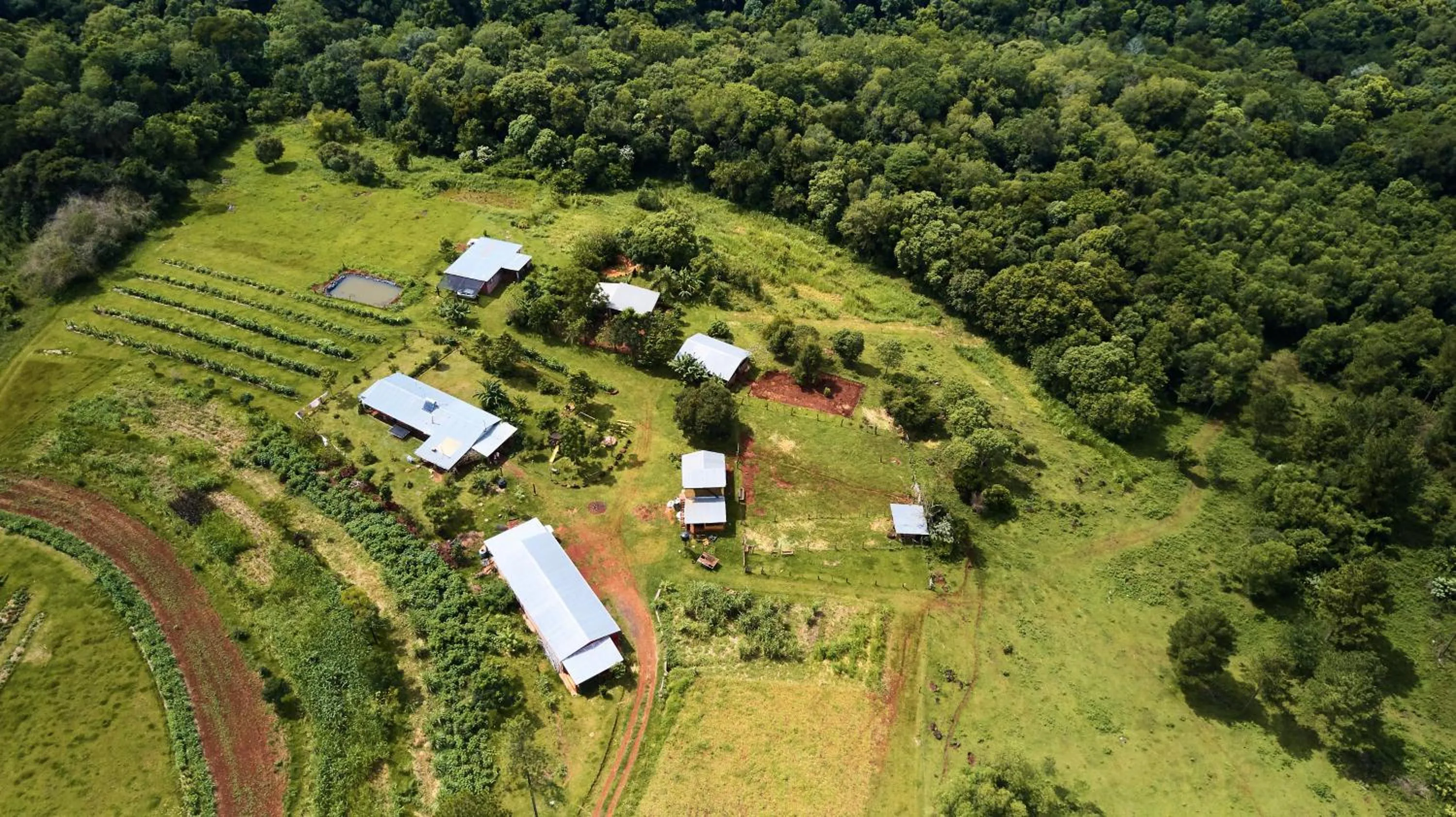 Natural landscape in Granja La Lechuza Ecolodge