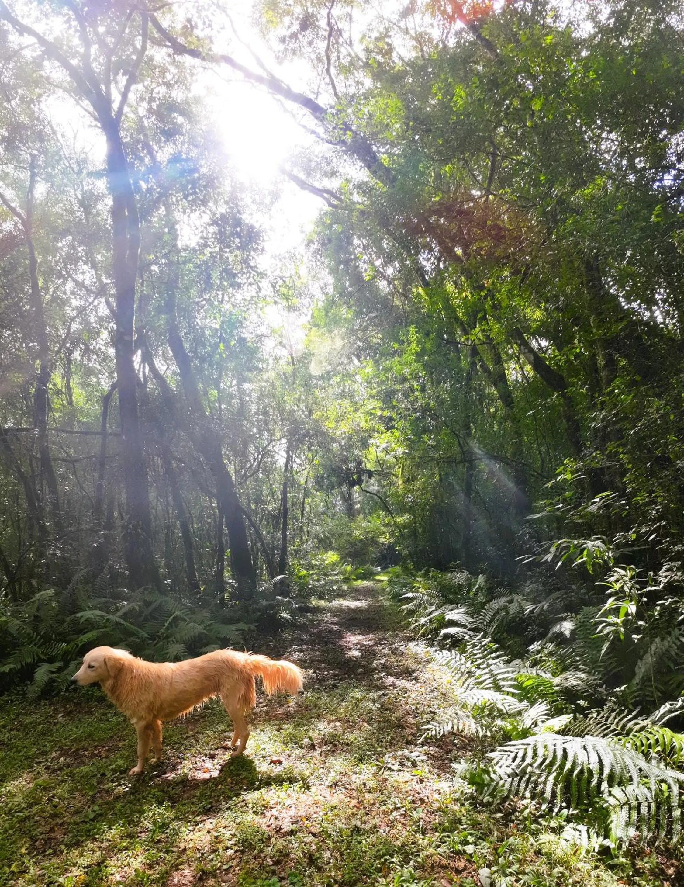Natural landscape in Granja La Lechuza Ecolodge