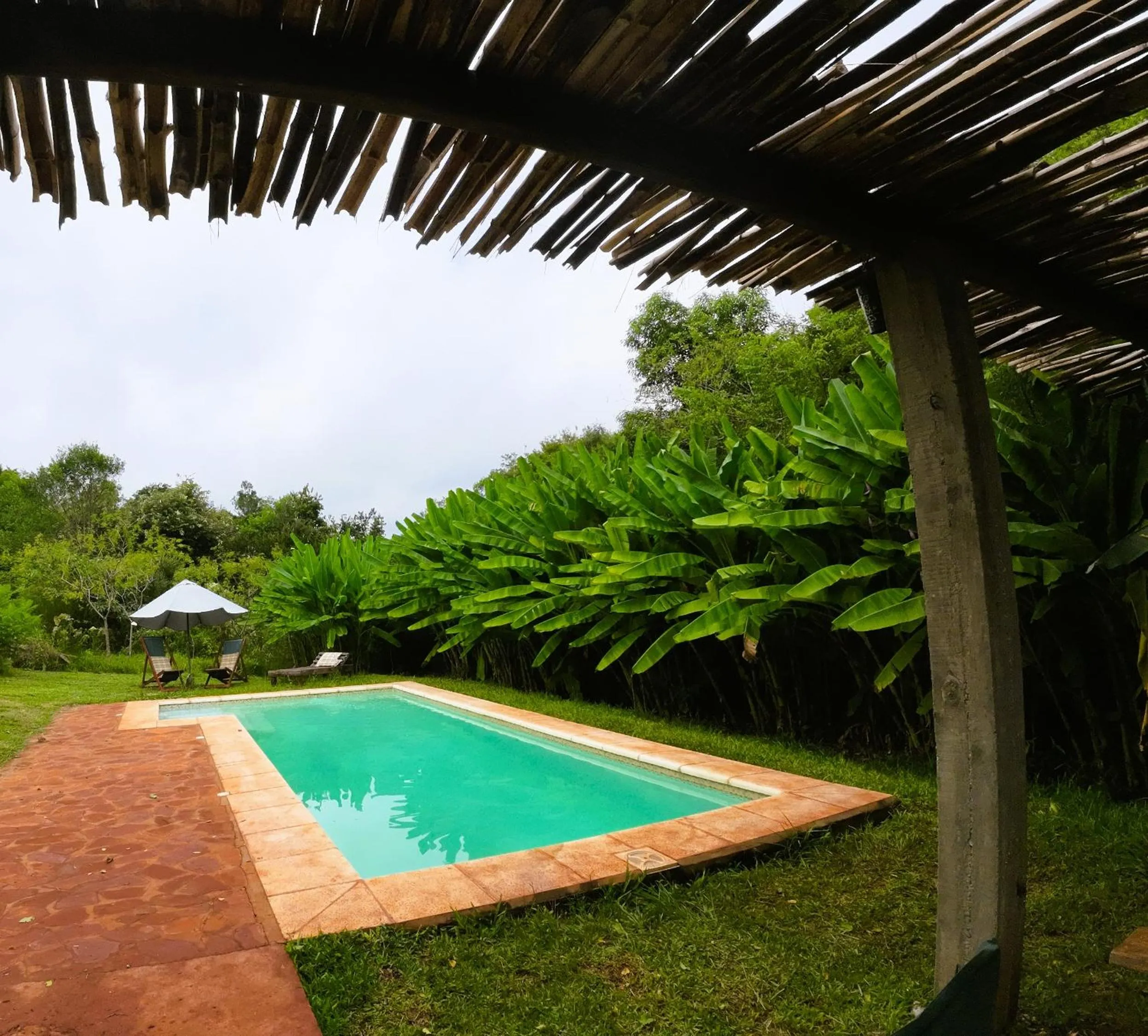 Garden in Granja La Lechuza Ecolodge