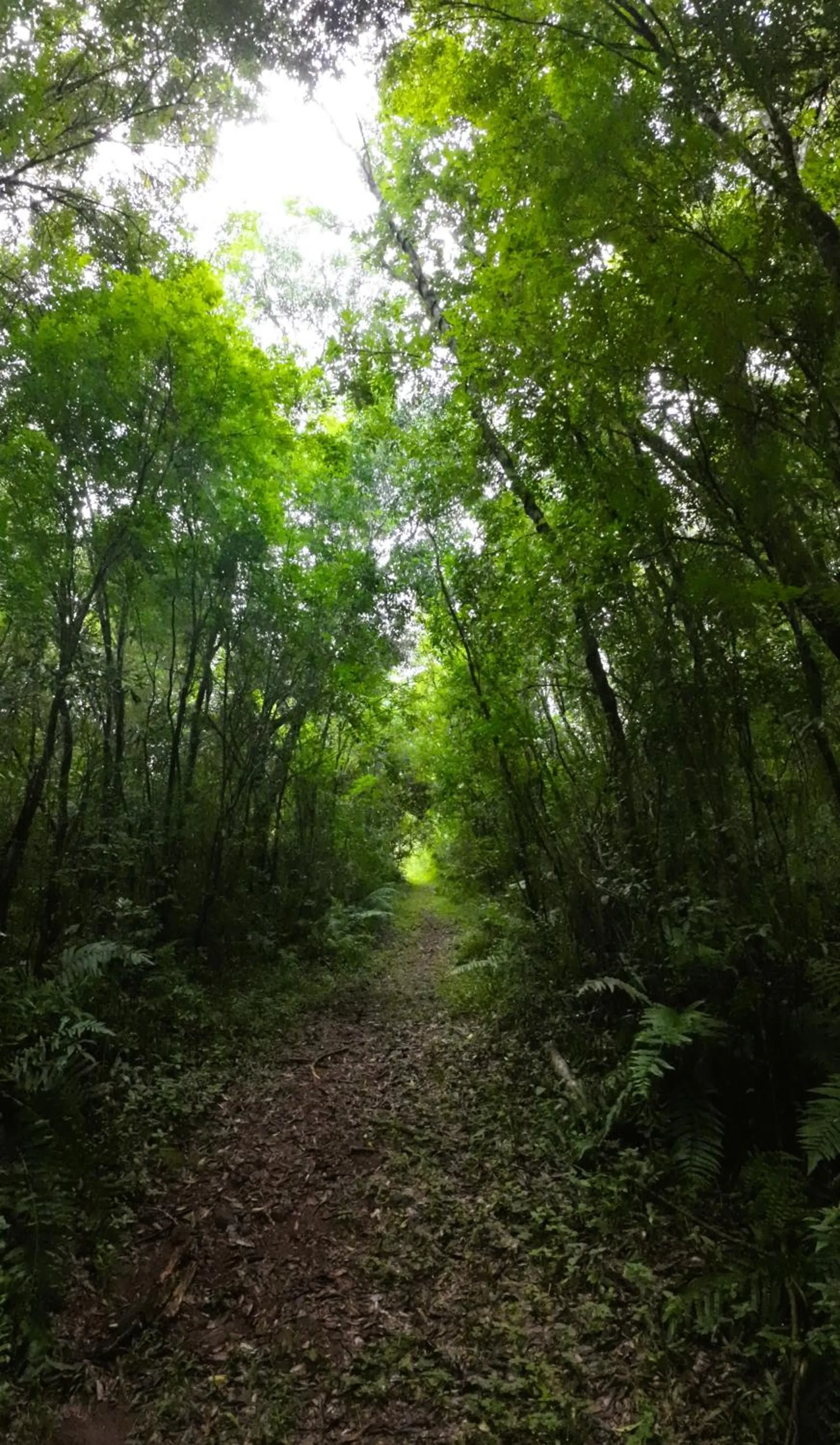 Natural landscape in Granja La Lechuza Ecolodge