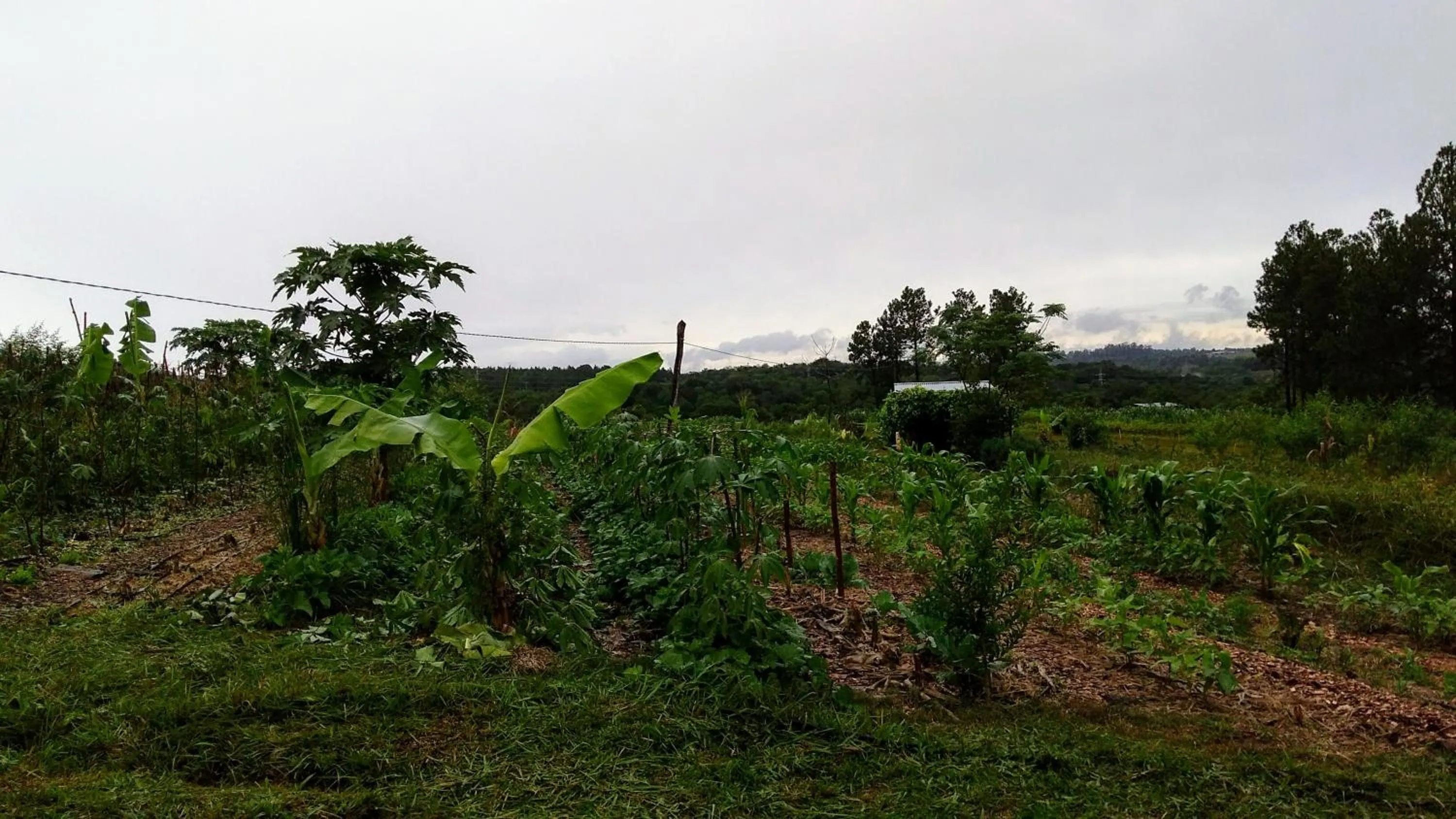 Property building in Granja La Lechuza Ecolodge