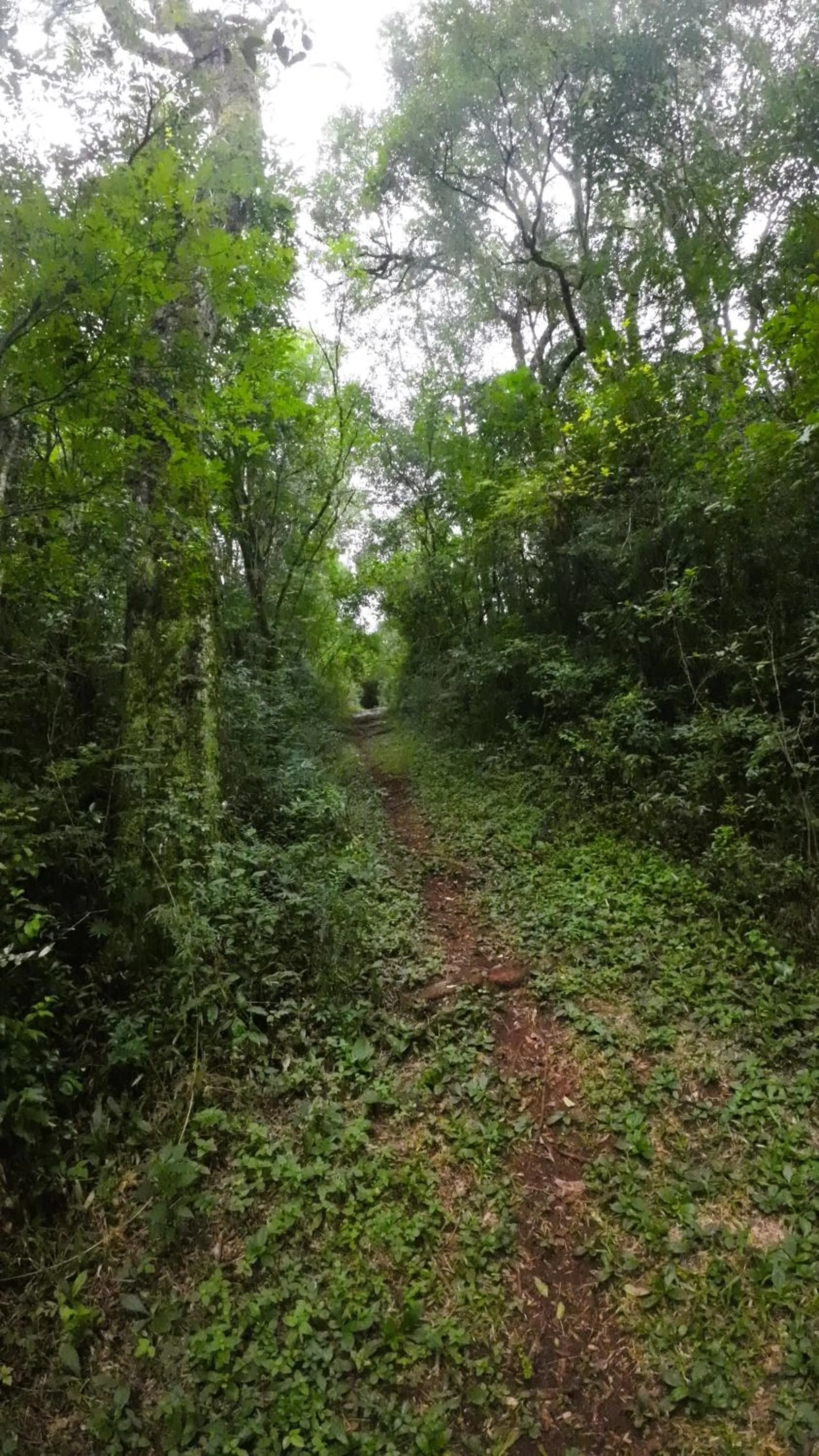 Property building in Granja La Lechuza Ecolodge