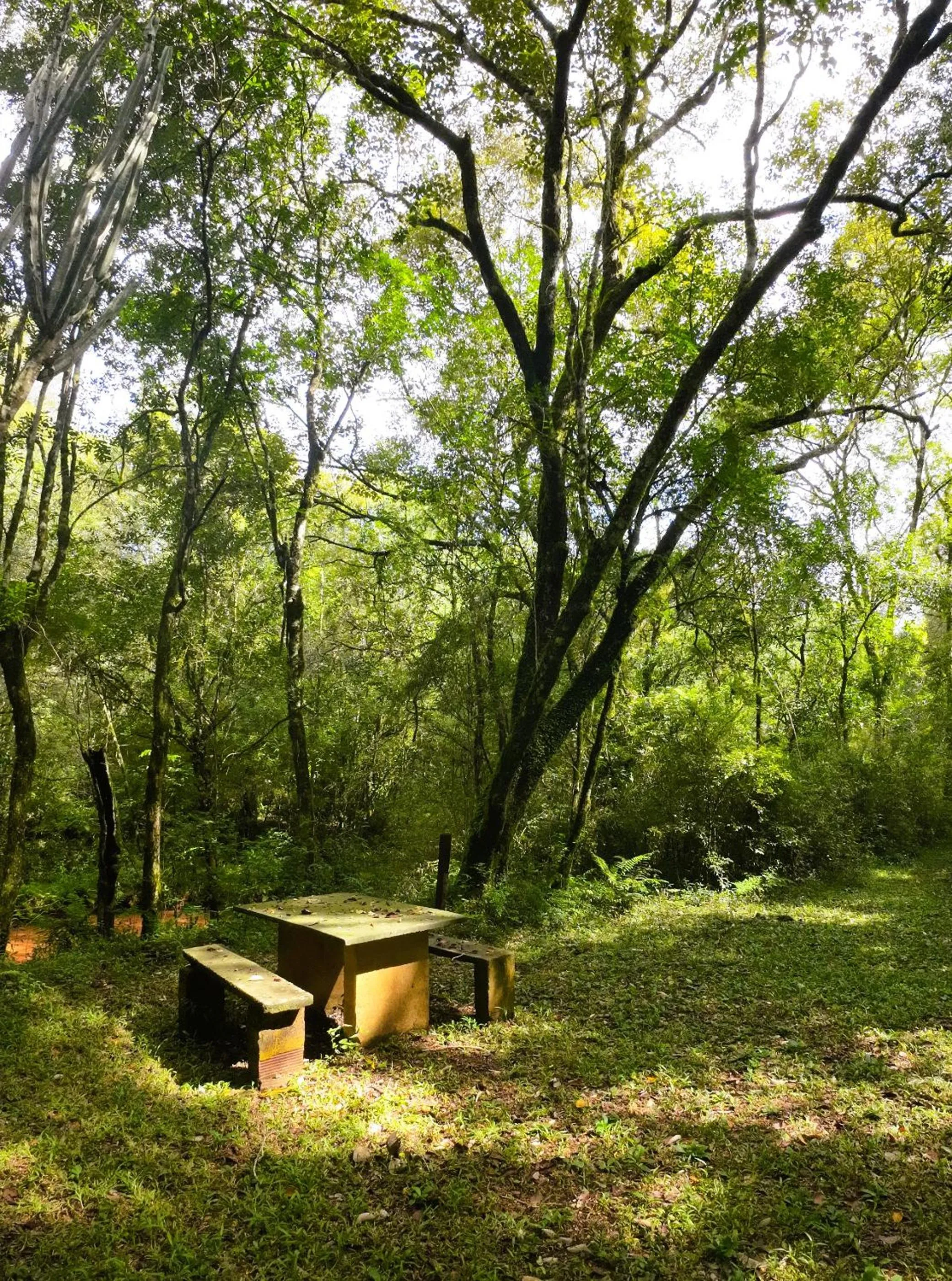 Natural landscape in Granja La Lechuza Ecolodge