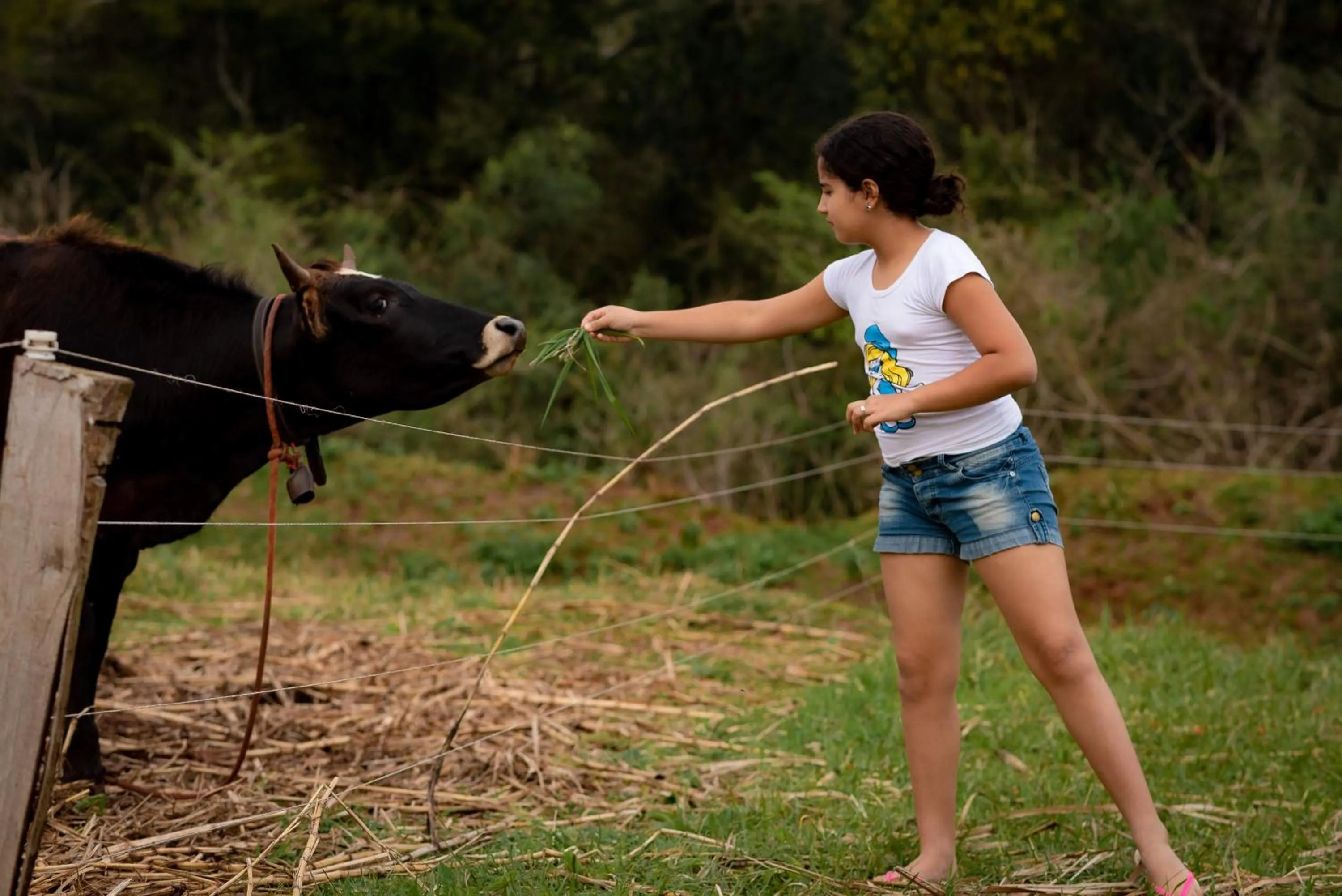 Animals in Granja La Lechuza Ecolodge