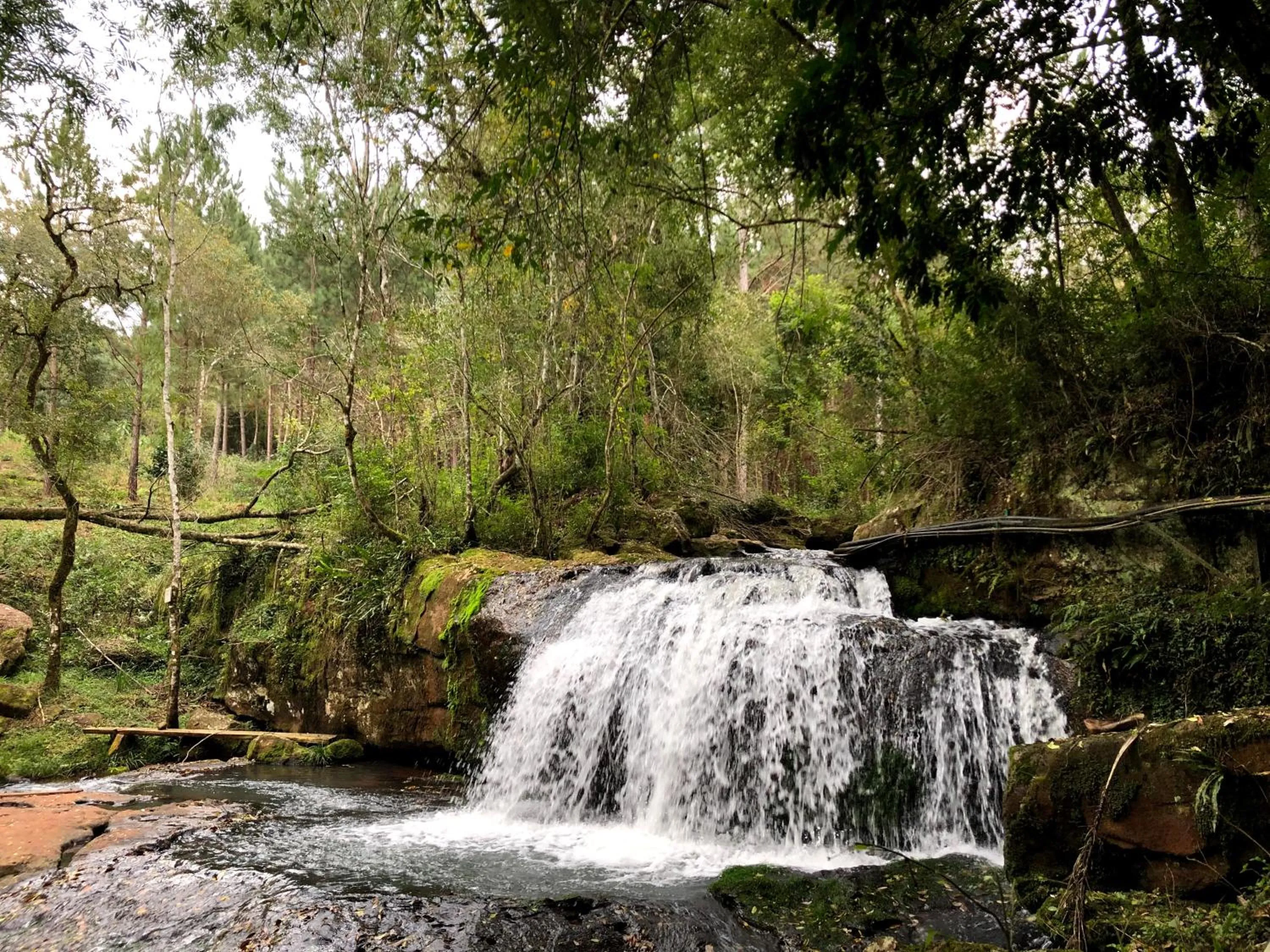 Nearby landmark in Granja La Lechuza Ecolodge