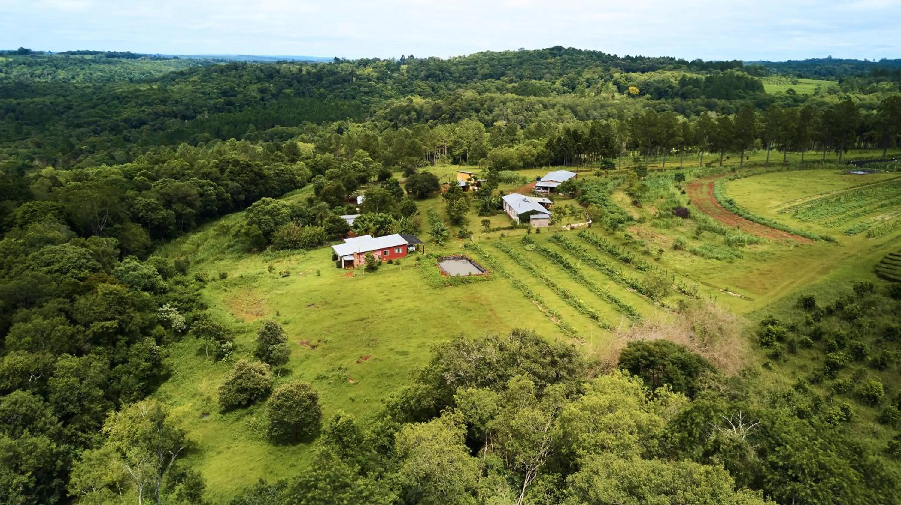 Natural landscape in Granja La Lechuza Ecolodge