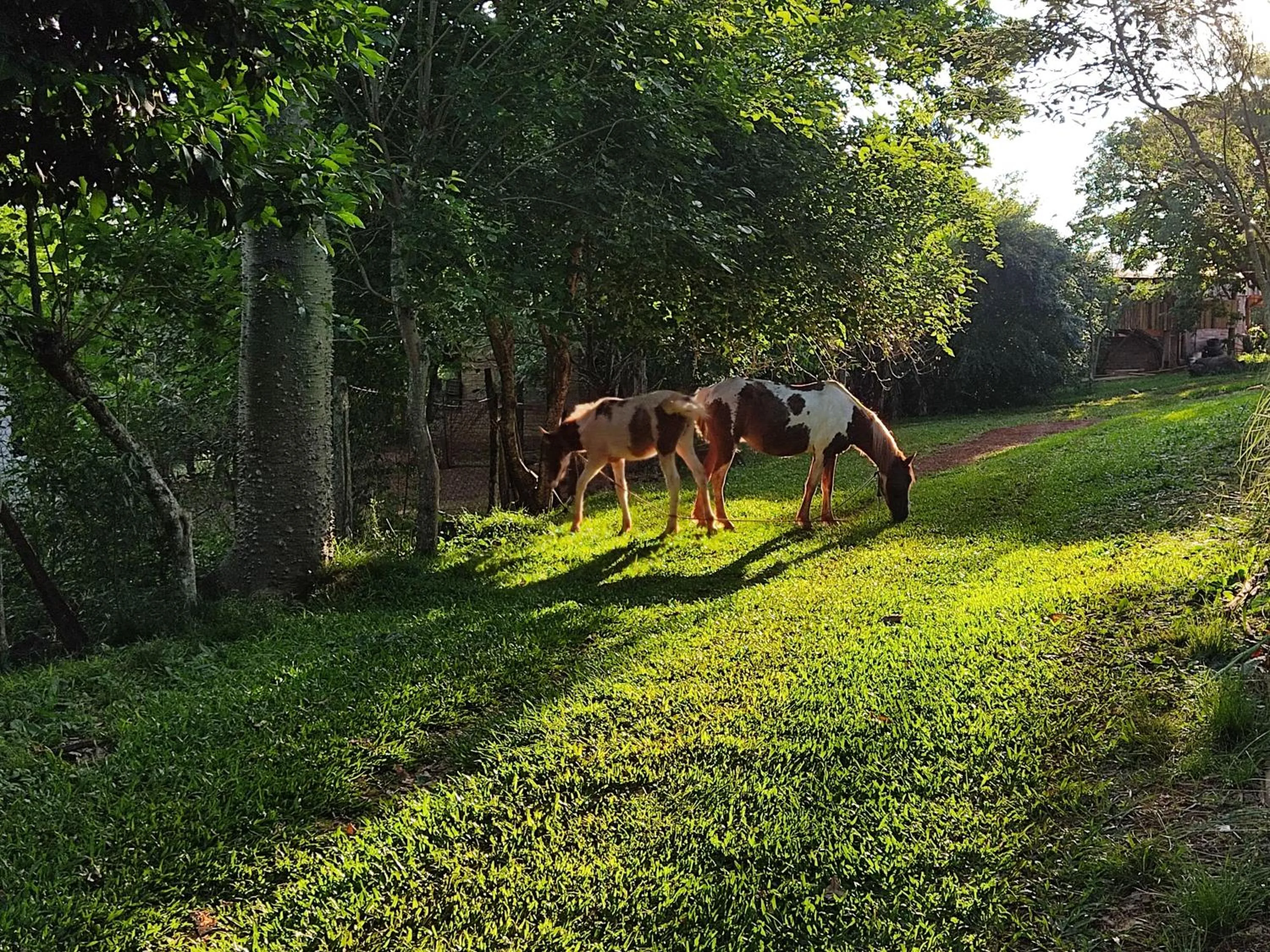 Natural landscape in Granja La Lechuza Ecolodge