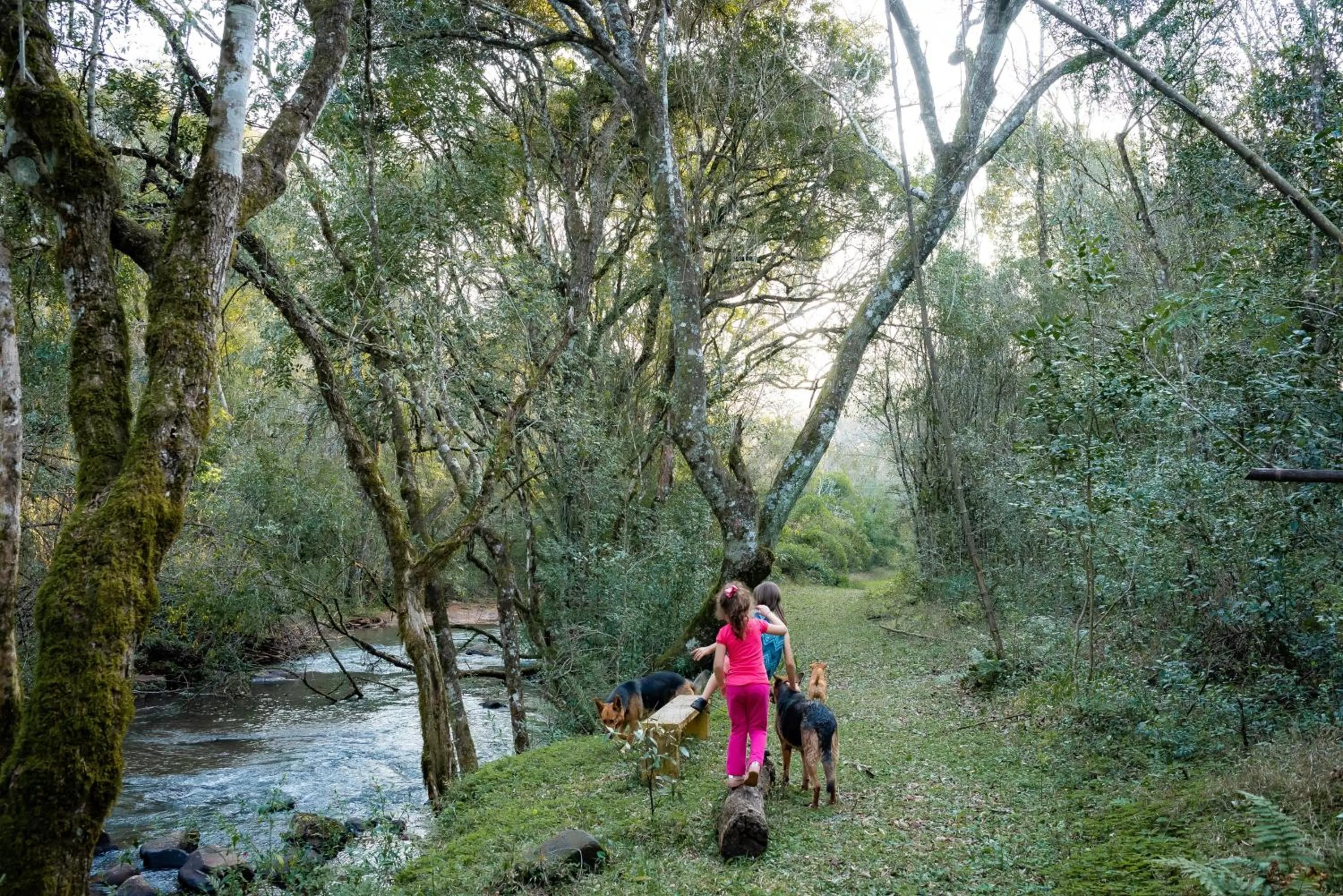 Natural landscape in Granja La Lechuza Ecolodge