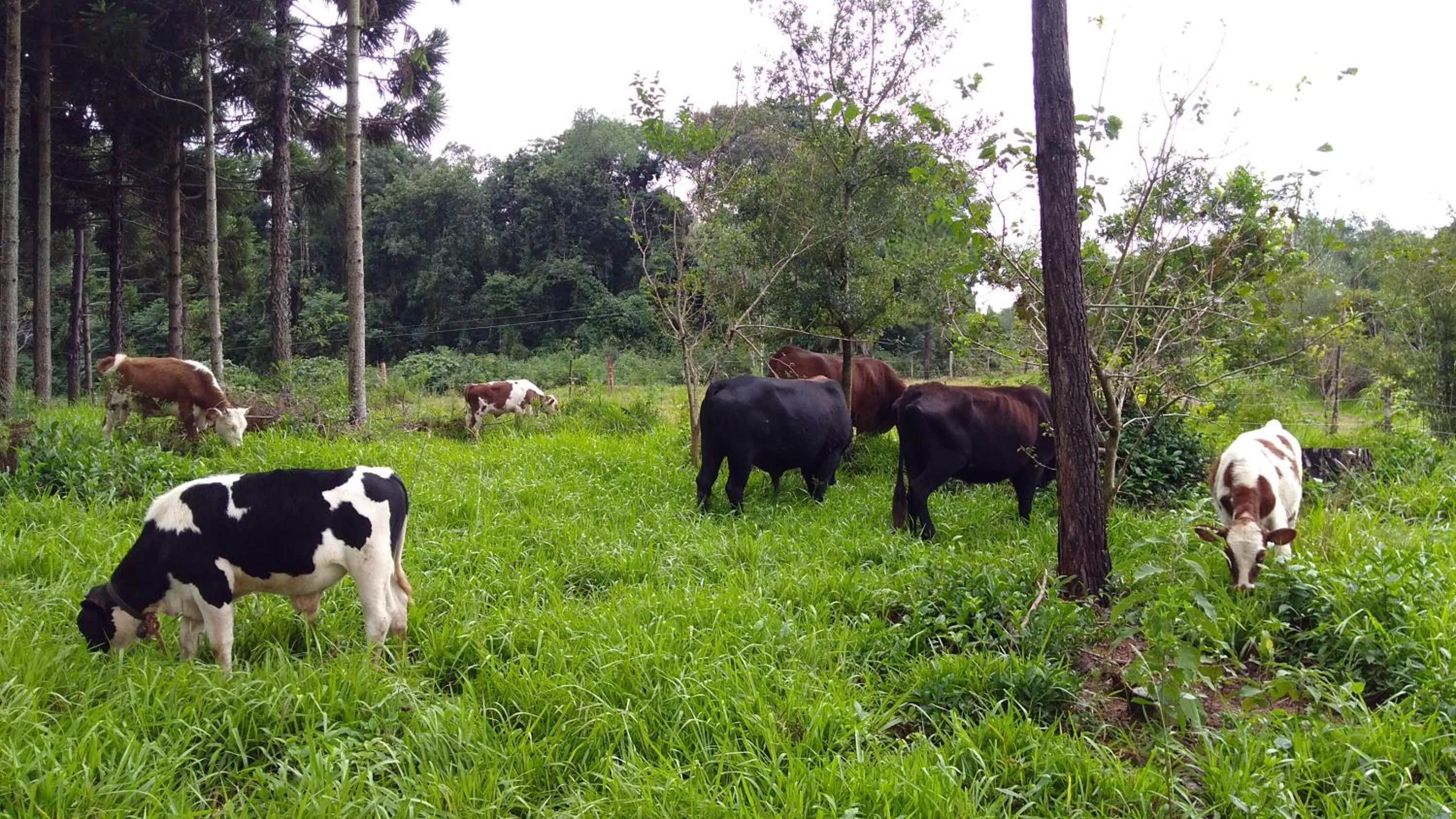 Property building in Granja La Lechuza Ecolodge