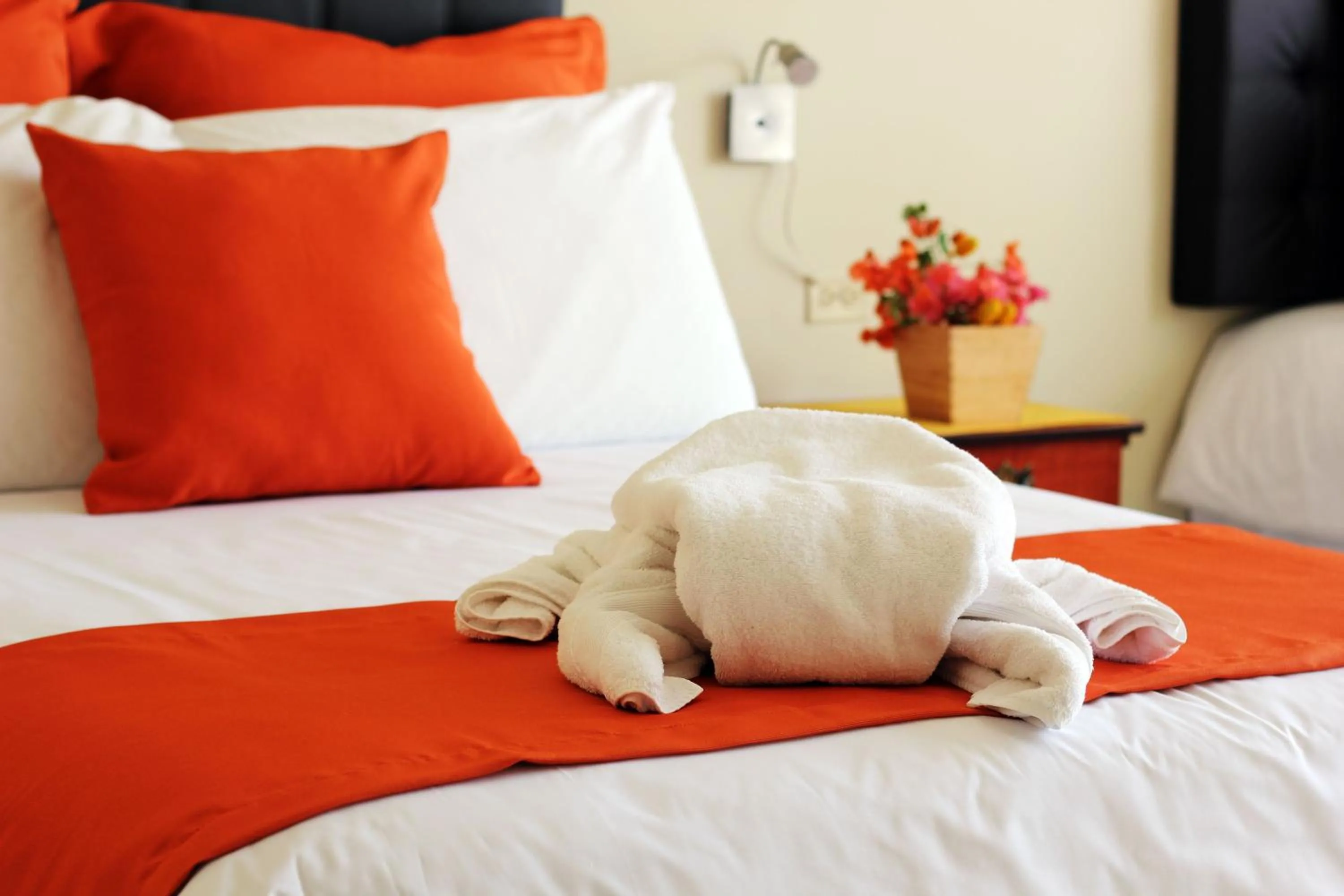 Bed in La Zayapa Hotel