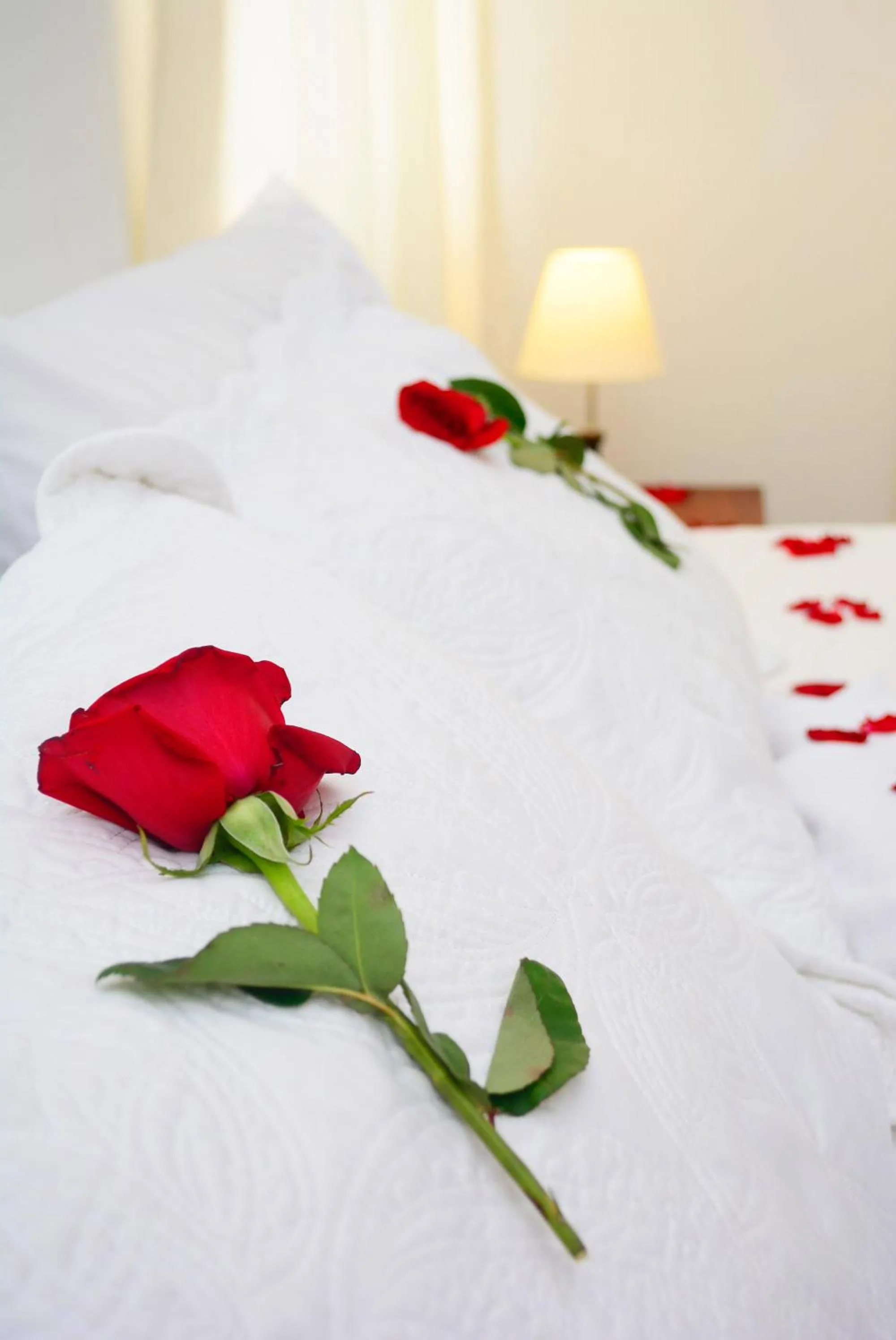 Other, Bed in Hotel Villa del Angel