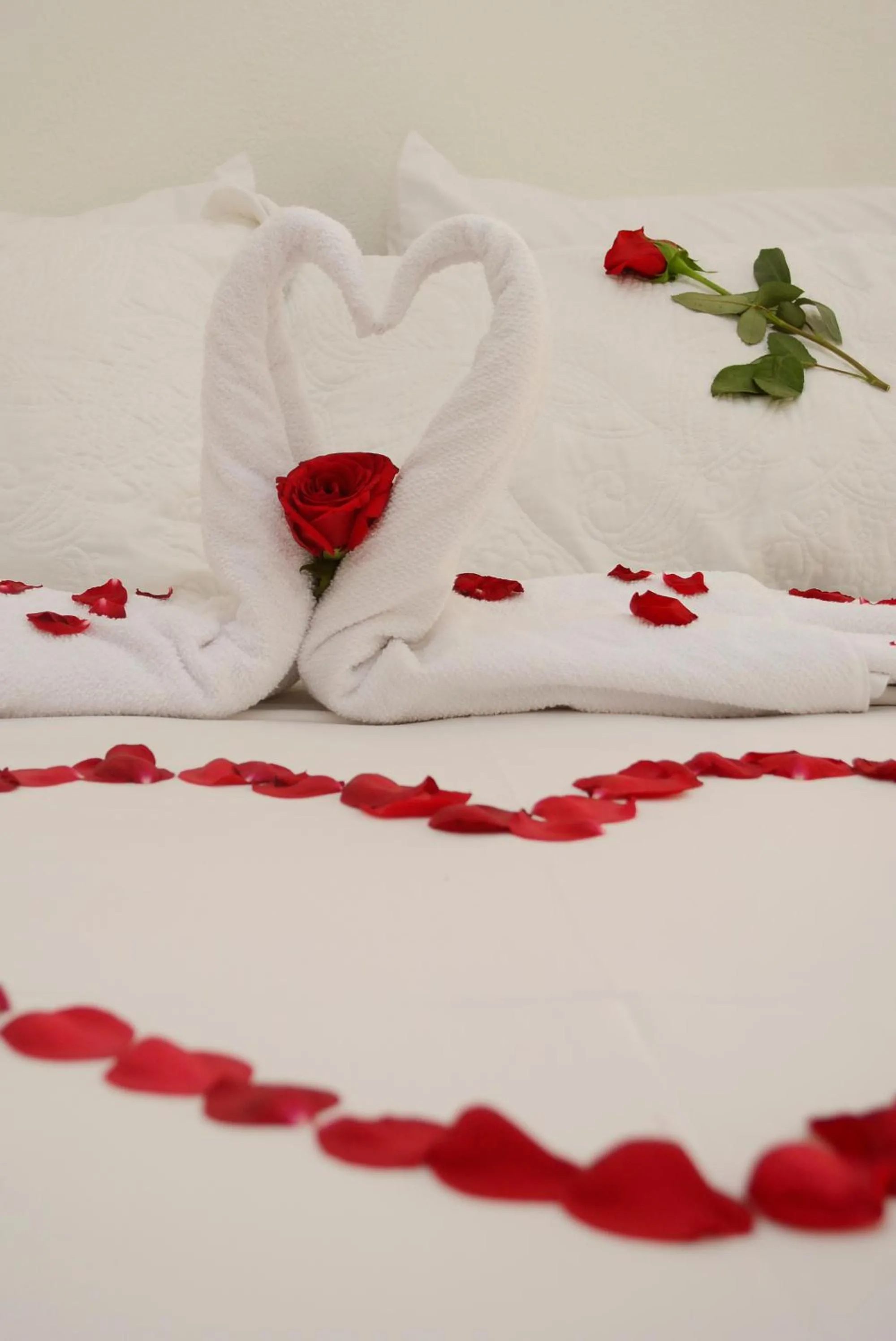 Decorative detail, Bed in Hotel Villa del Angel