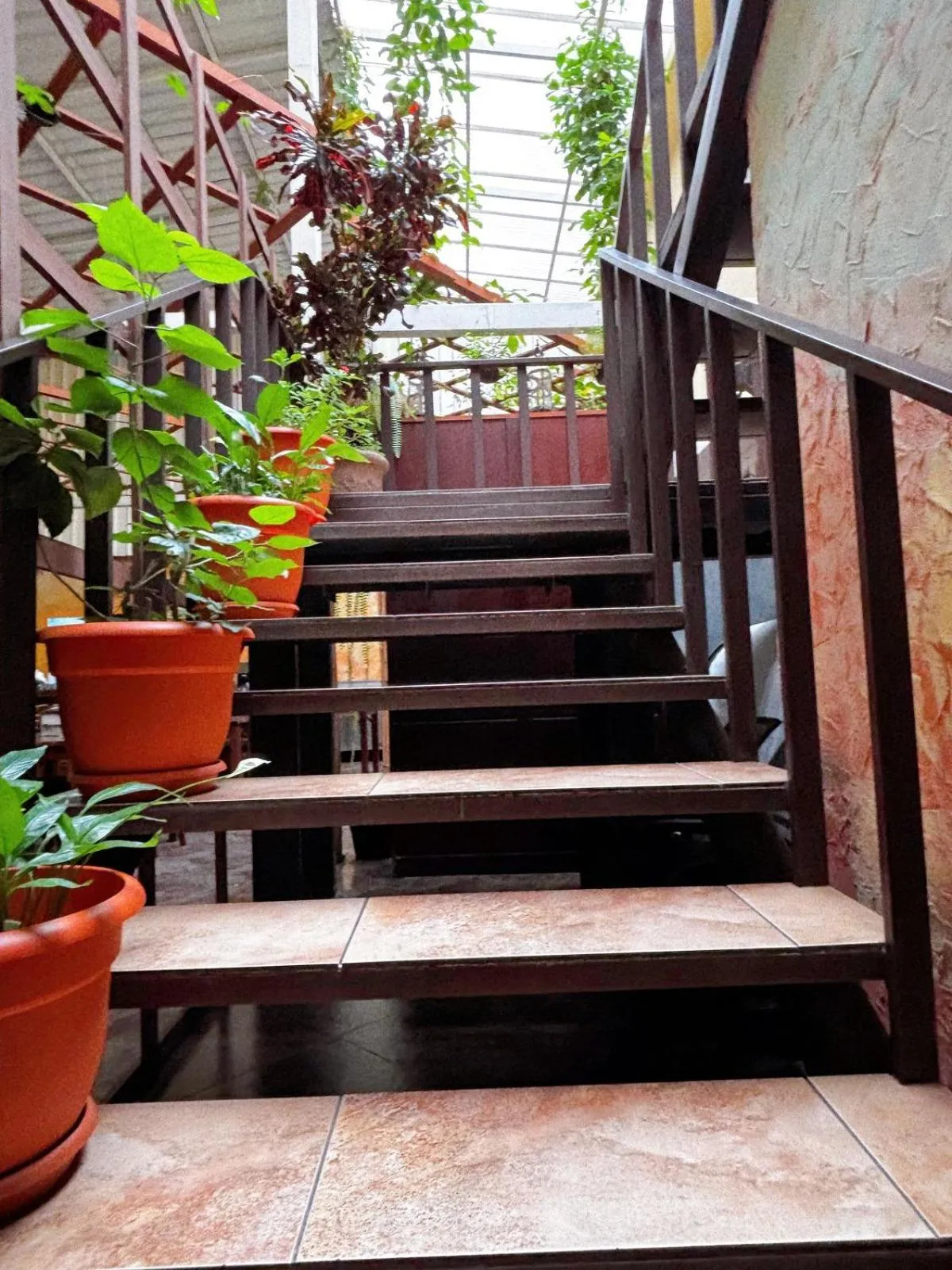 Restaurant/places to eat in Antigua Inn Hotel