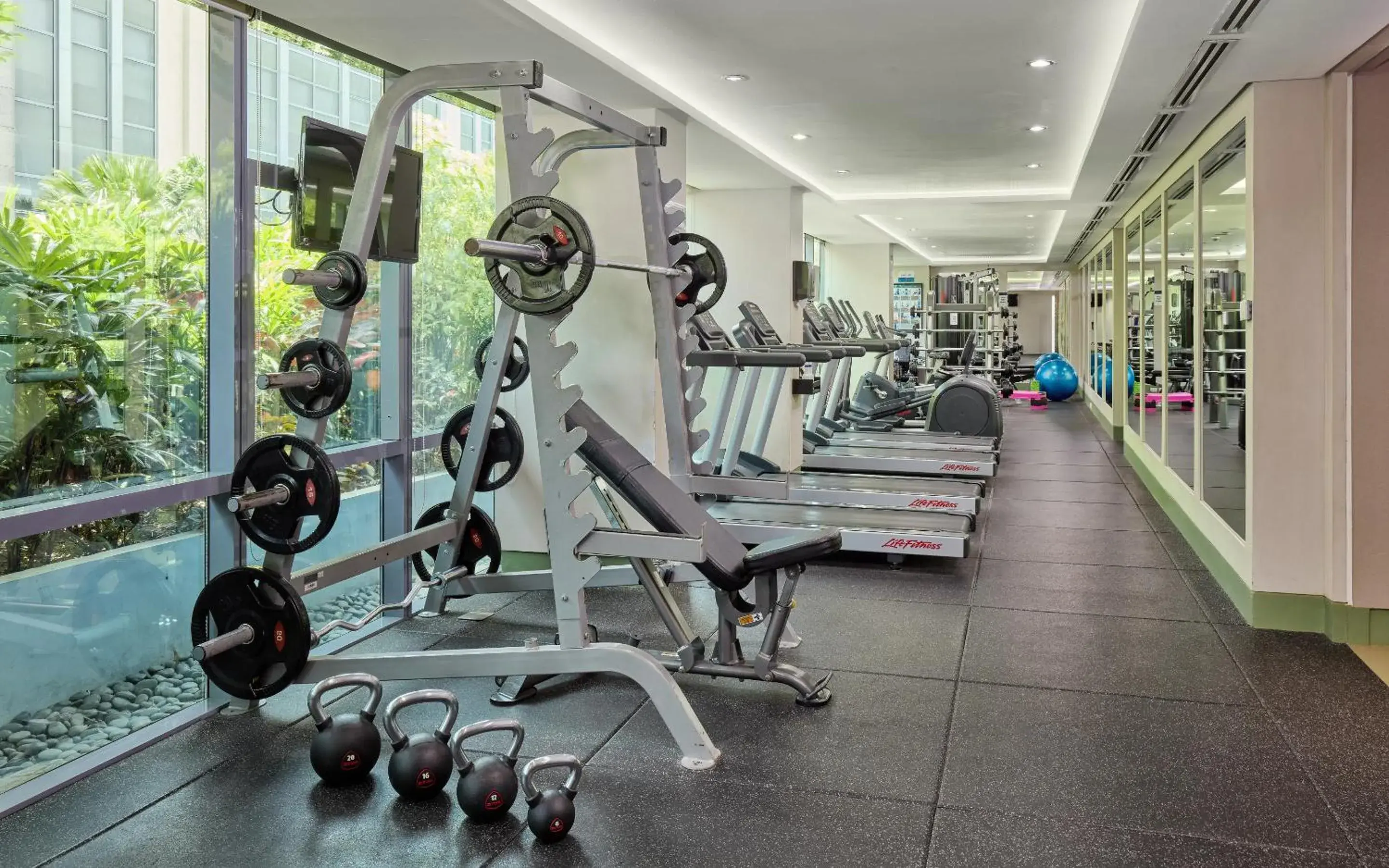 Fitness centre/facilities in Belmont Hotel Manila near NAIA Terminal 3 MNL Fitness centre/facilities in Belmont Hotel Manila near NAIA Terminal 3 MNL