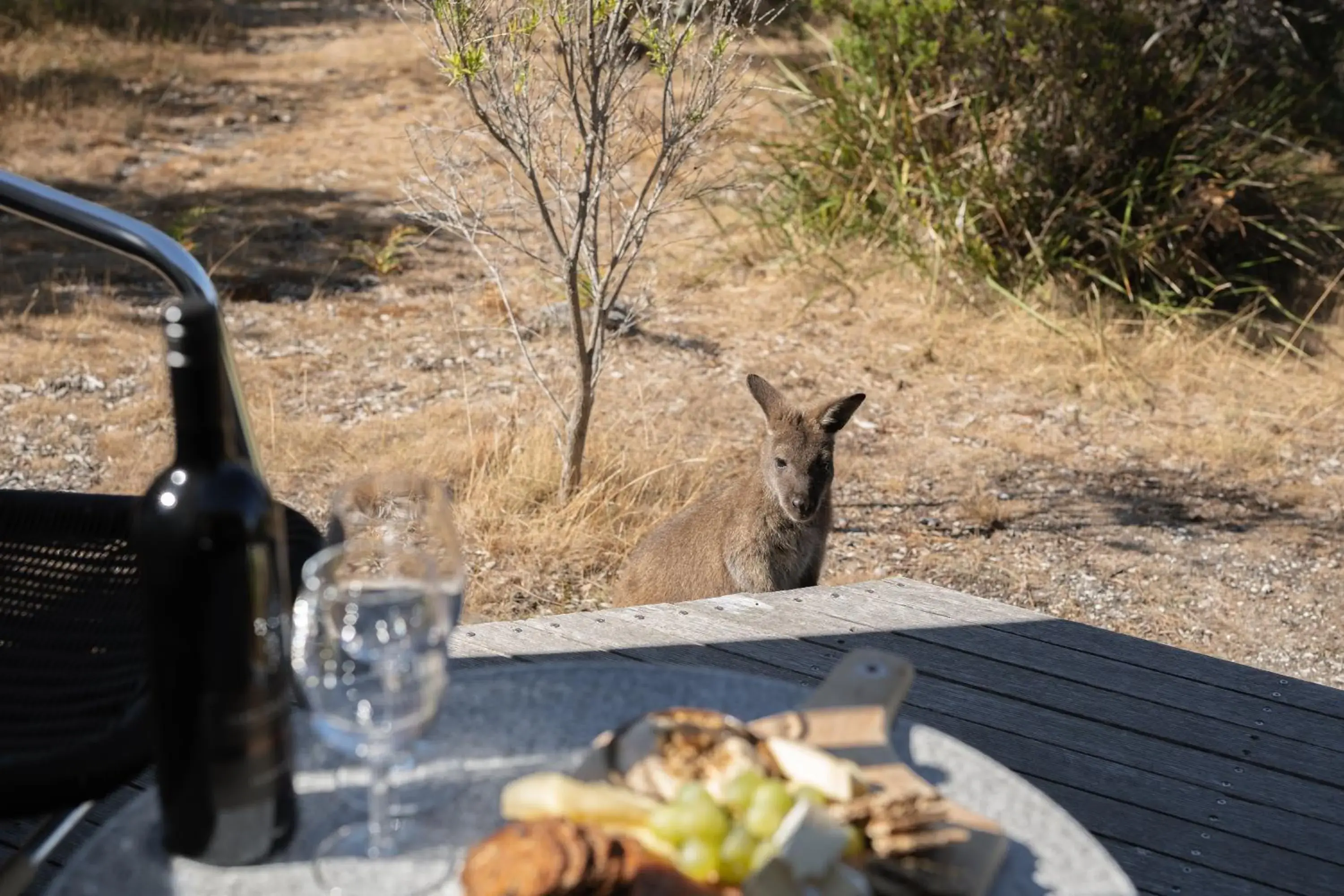 Property building in Edge of the Bay Property building in Edge of the Bay