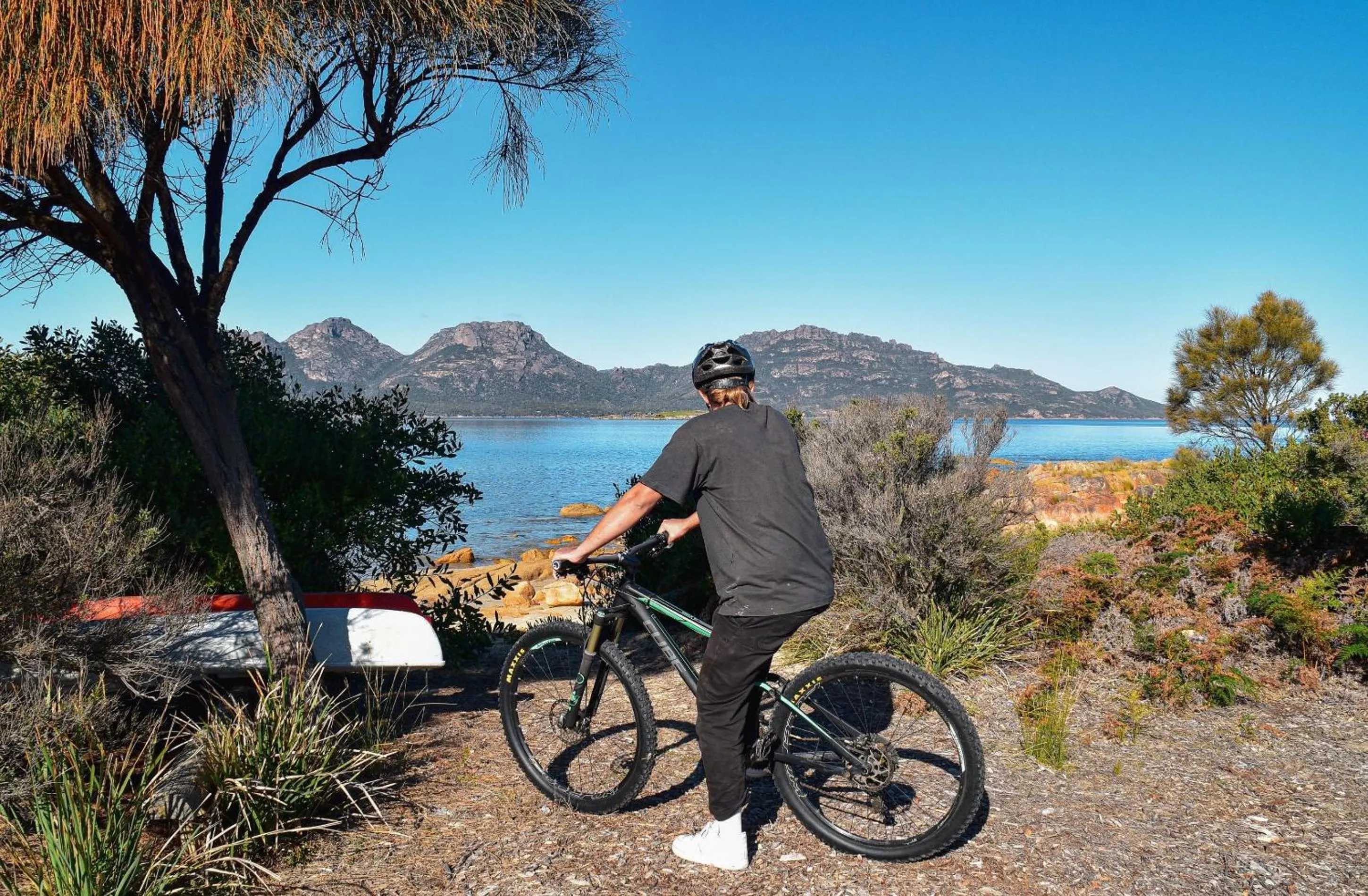 Activities in Edge of the Bay